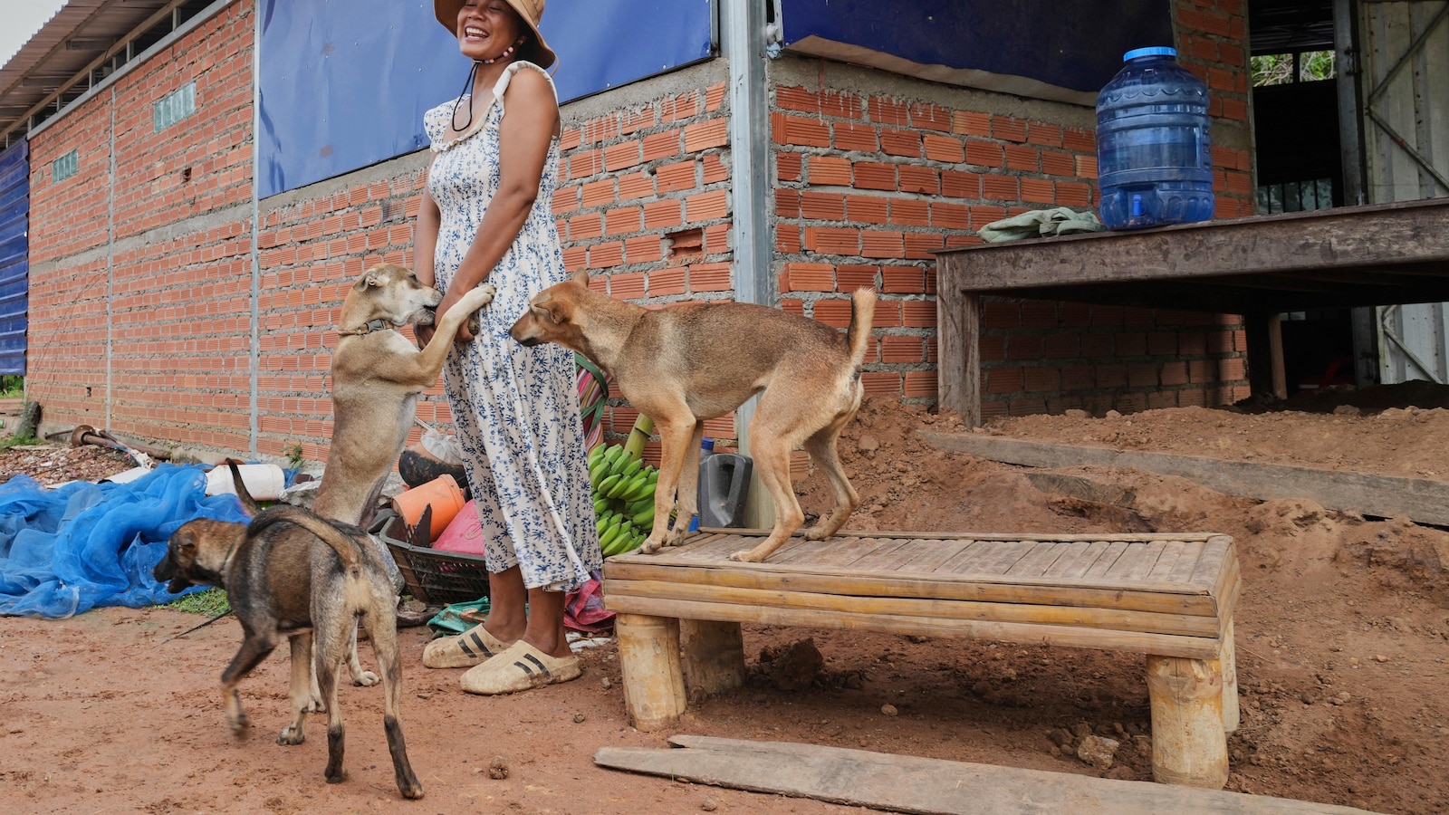 Thailand, Cambodia Trade Ceasefire Violation Claims Amid Border Clashes