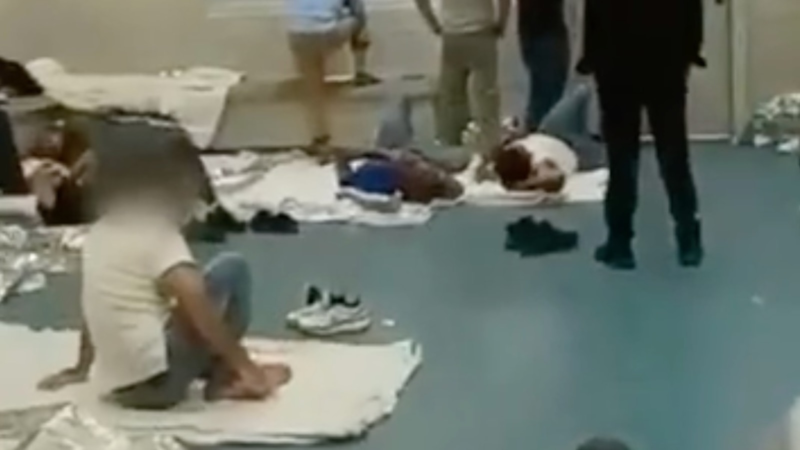 ‘Like dogs’: Video appears to show migrants held in federal building in NYC