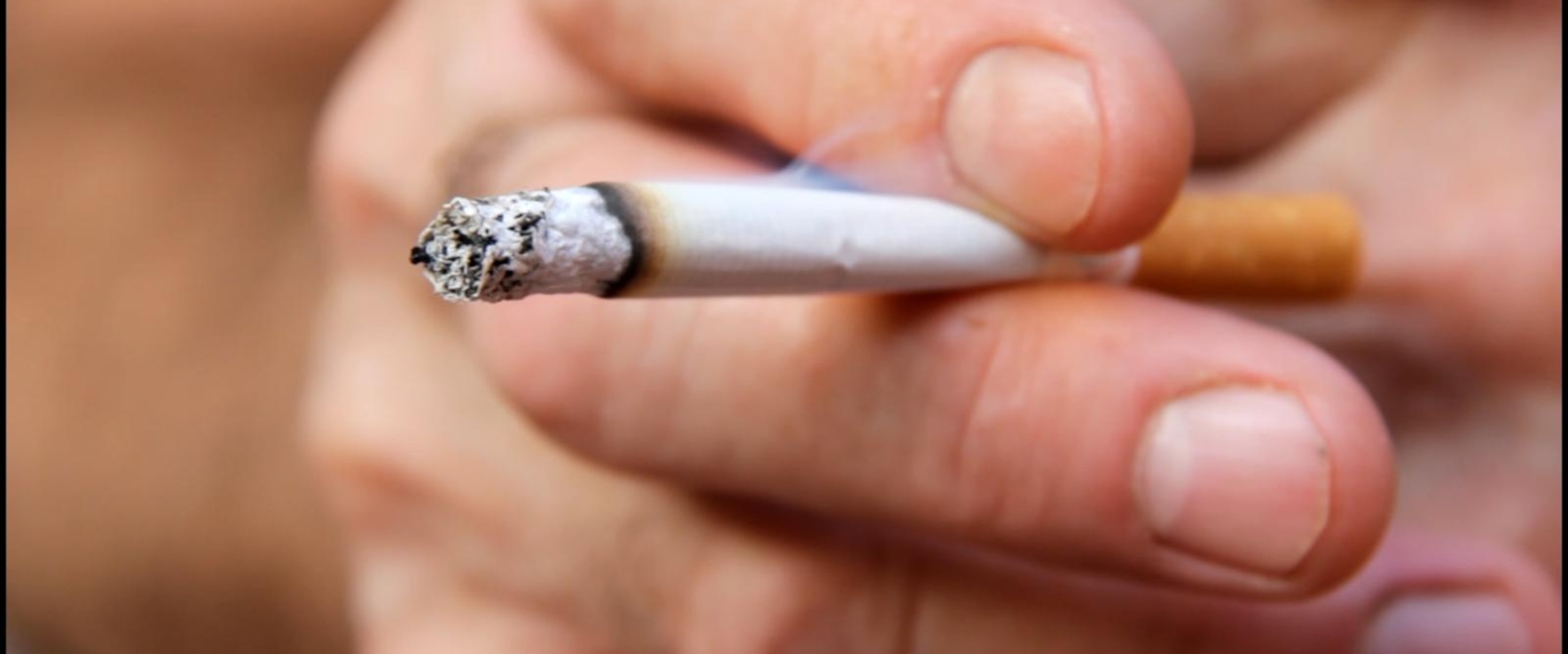 order cigarettes now near me Cigarettes Delivery Toronto – Fast, Reliable Tobacco Service order cigarettes now near me Cigarettes Delivery Toronto – Fast, Reliable Tobacco Service