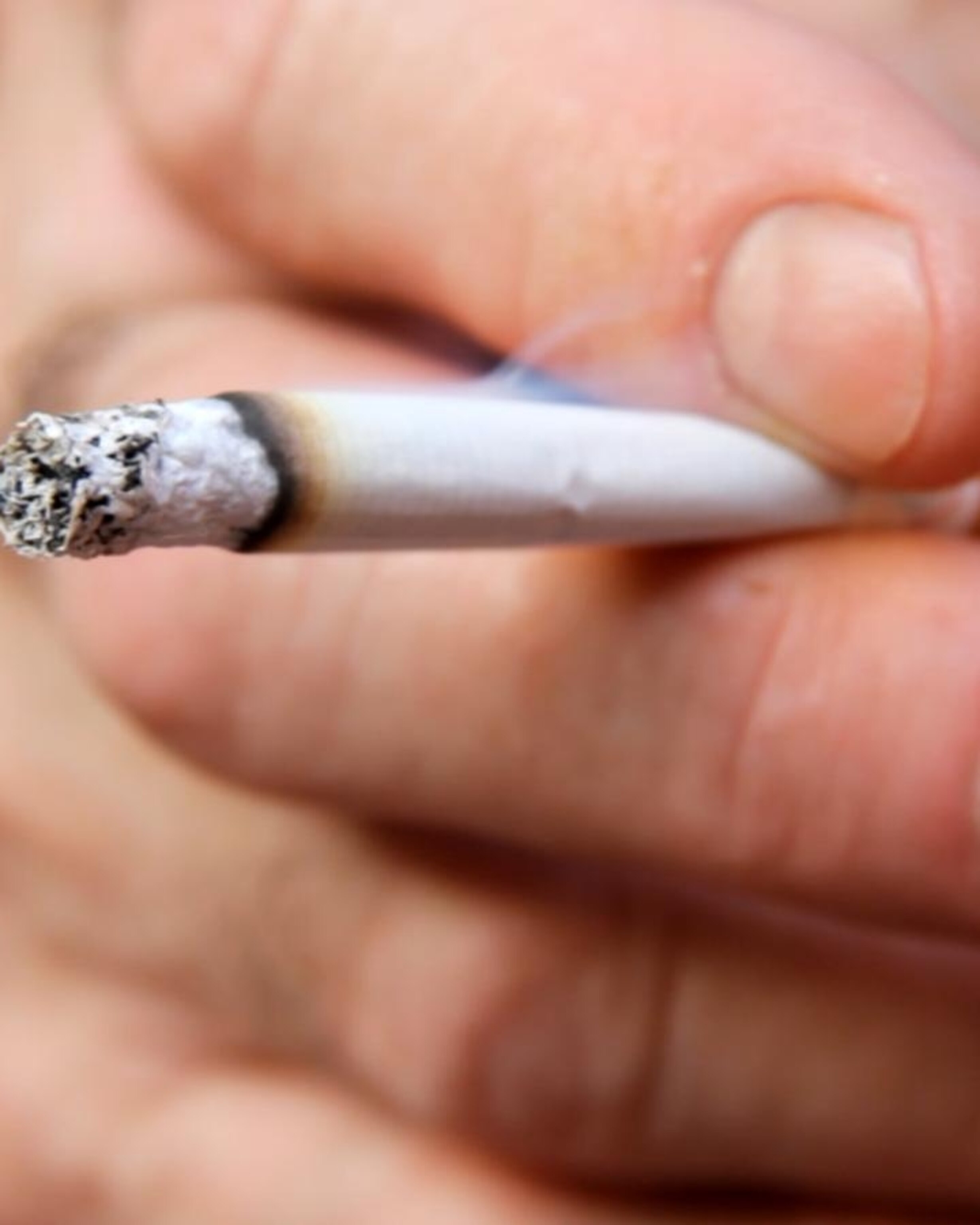 where to buy foreign cigarettes near me TOP 10 BEST IMPORT CIGARETTES IN LAS VEGAS, NV - UPDATED 2026 - QUALITY &  AFFORDABILITY