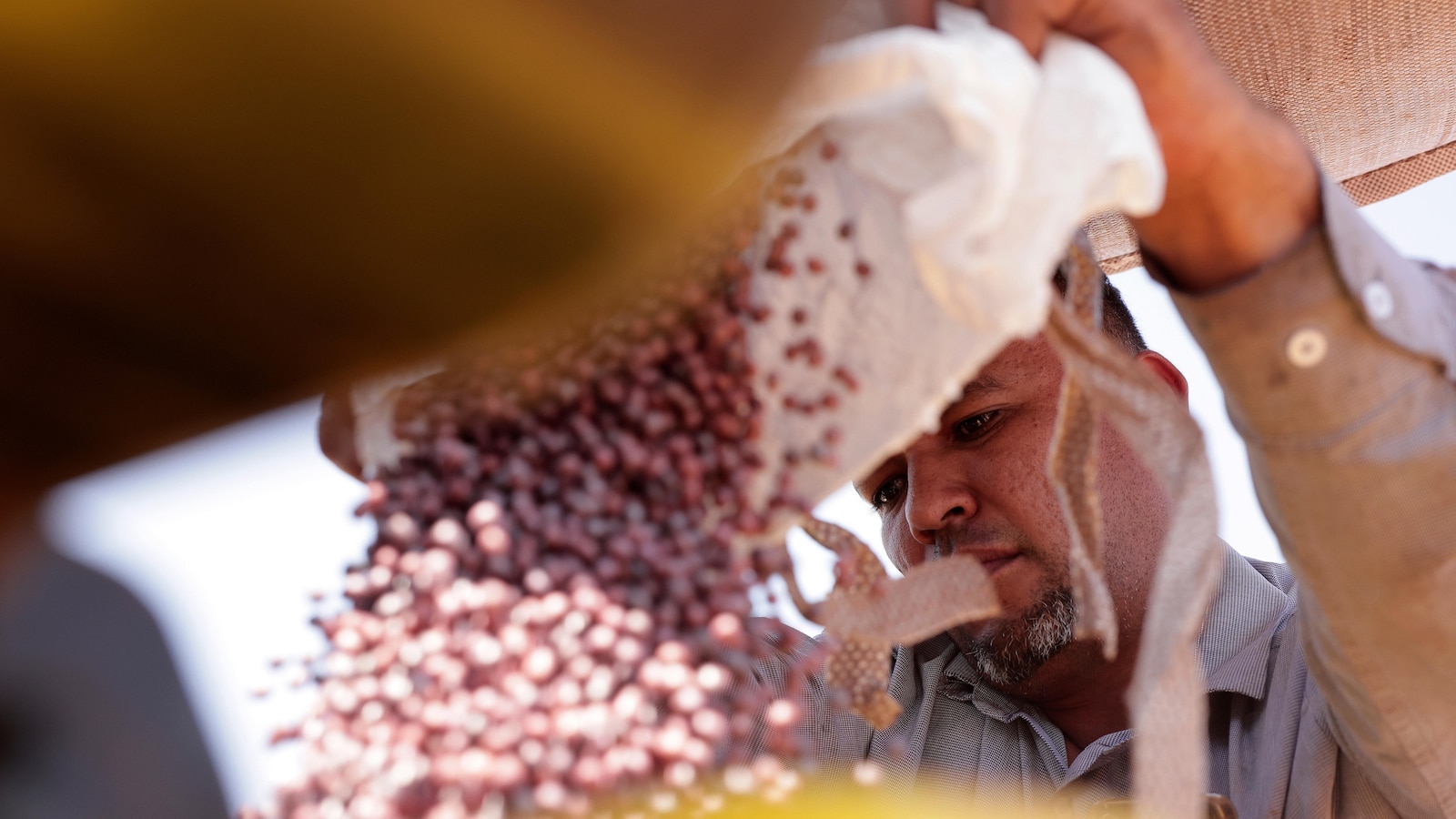  Brazilian farmers beef up soybean production as China halts business with US during trade fight