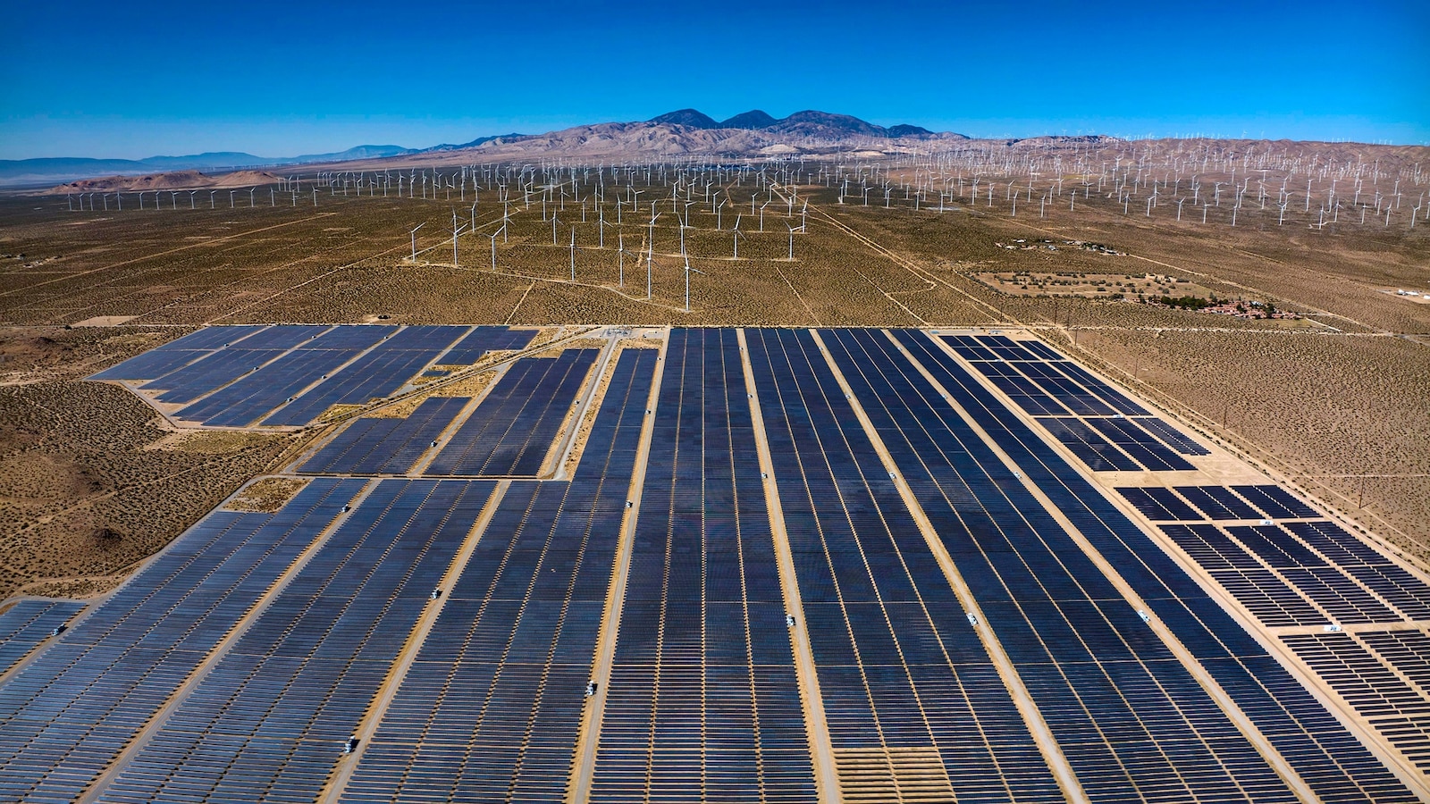 Despite political challenges, renewable energy continues to grow worldwide: Reports