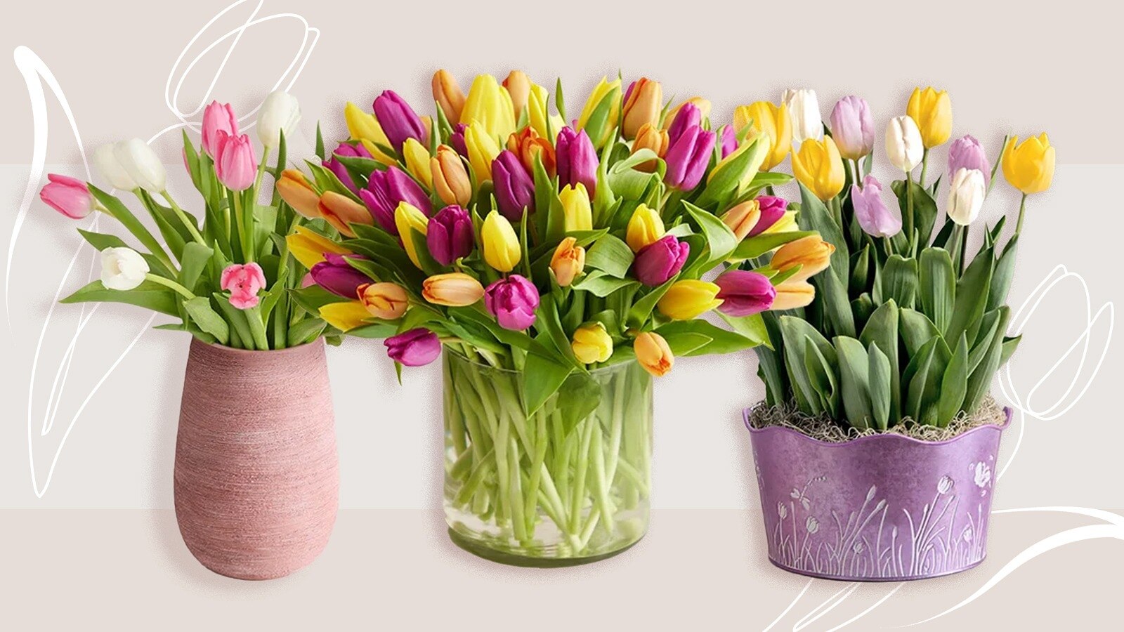 Shop 1-800-Flowers tulips
