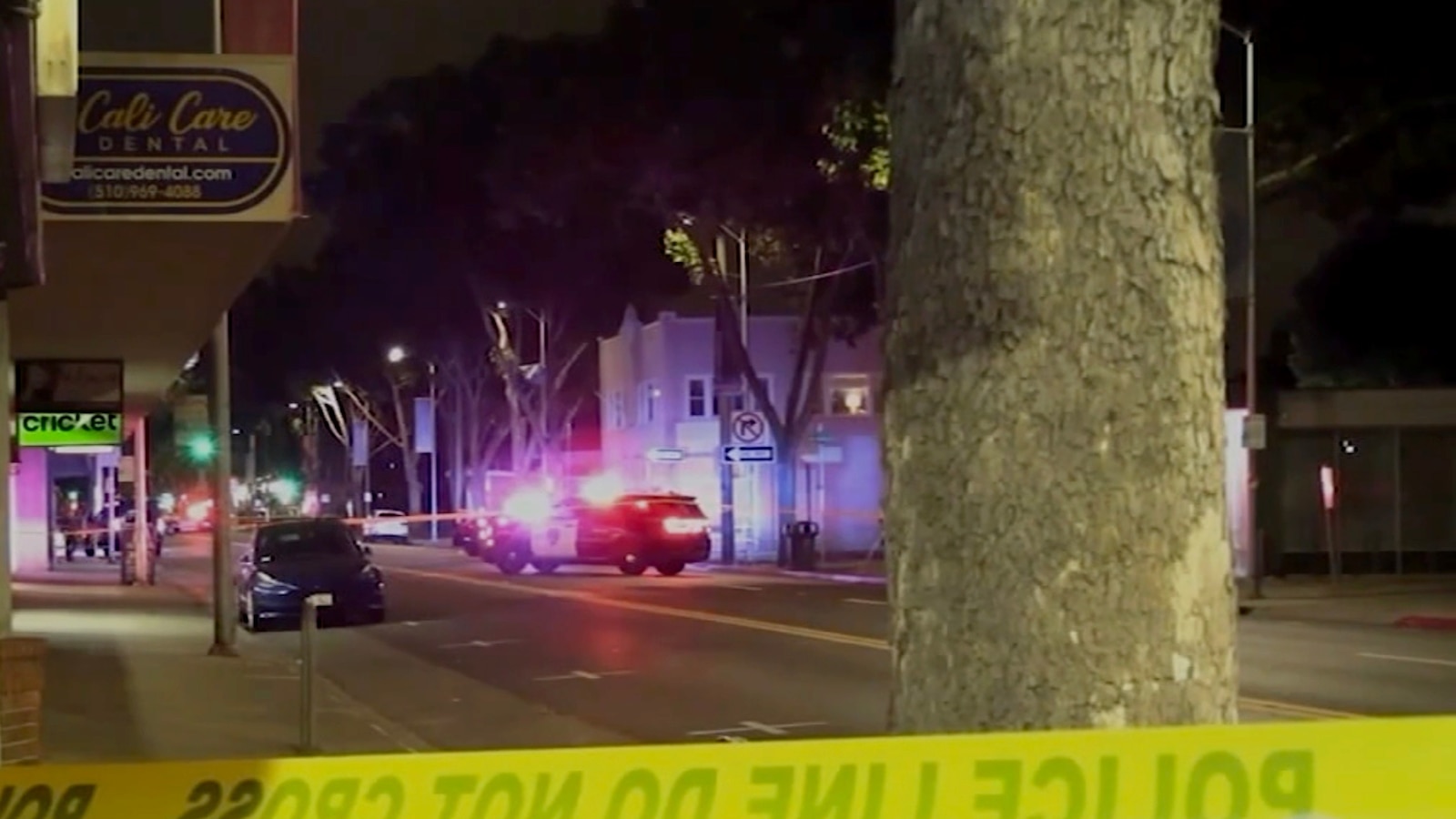 21-year-old charged in murder of Bay Area woman walking dogs - ABC News
