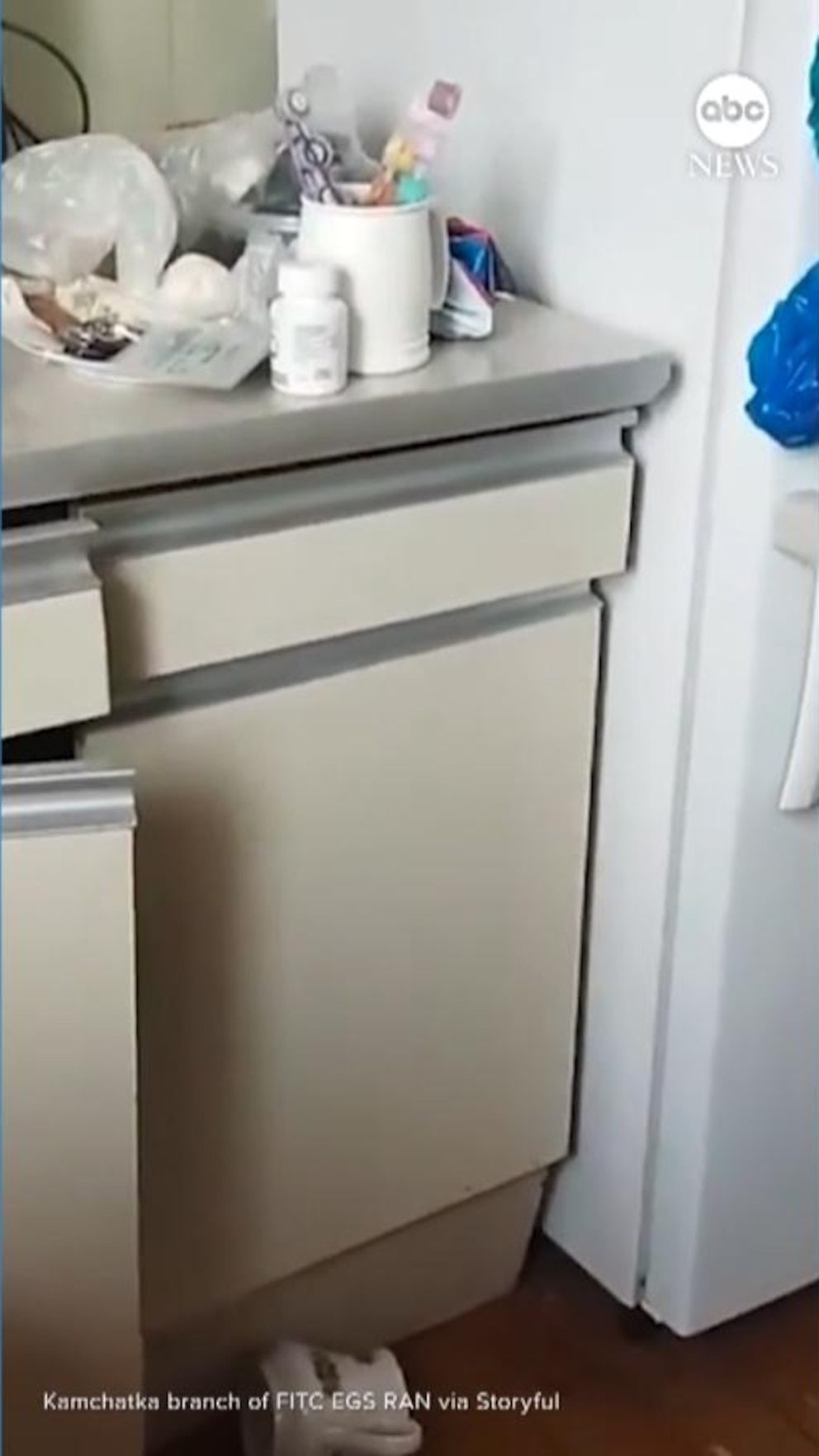 NextImg:Video Russian kitchen gets shaken during massive earthquake