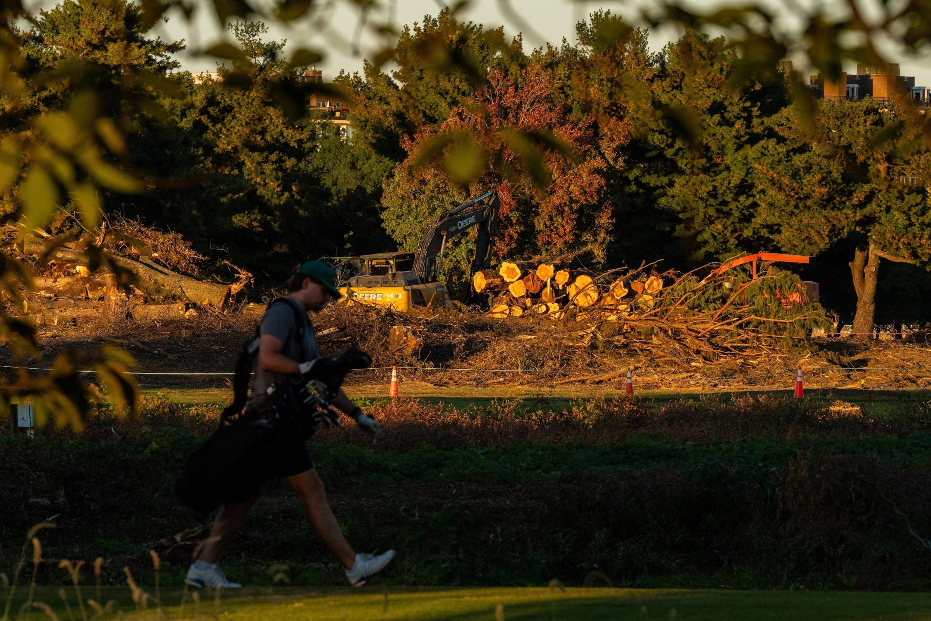 PHOTO: Felled trees at East Potomac Golf Links in Washington