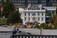 At Least 2 Historic Magnolia Trees Kennedy Garden Appear To Have Been 