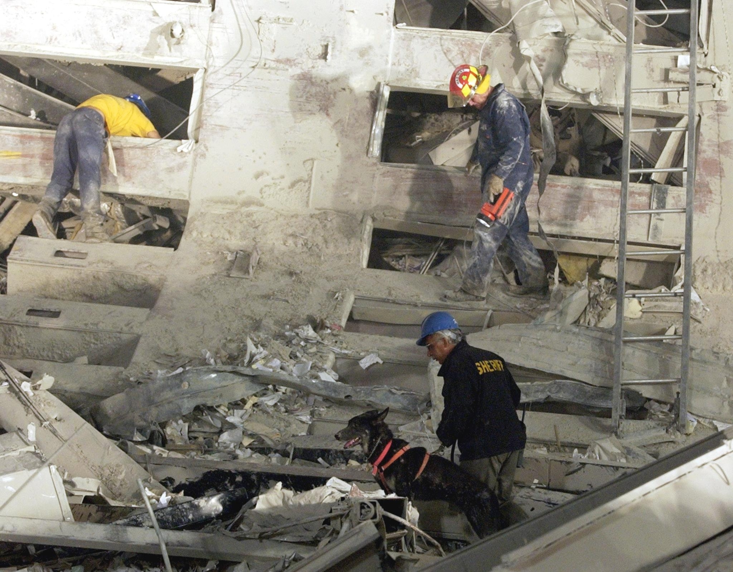 Image from article: Remembering the hero search-and-rescue dogs of 9/11, 25 years later Image from article: Remembering the hero search-and-rescue dogs of 9/11, 25 years later