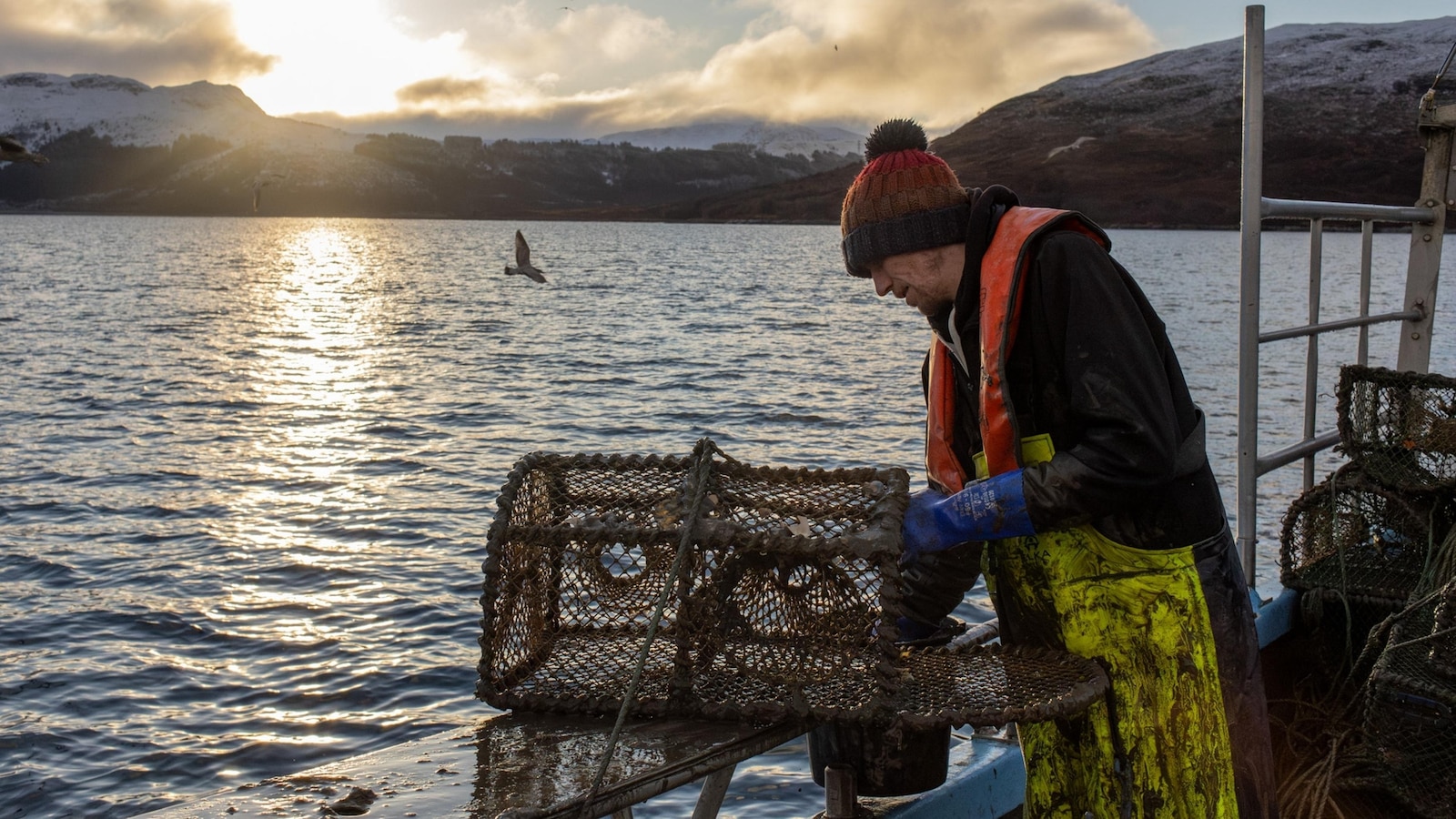 В Шотландия риболовната практика за бракуване на океанското дъно продължава въпреки обещанията за защита