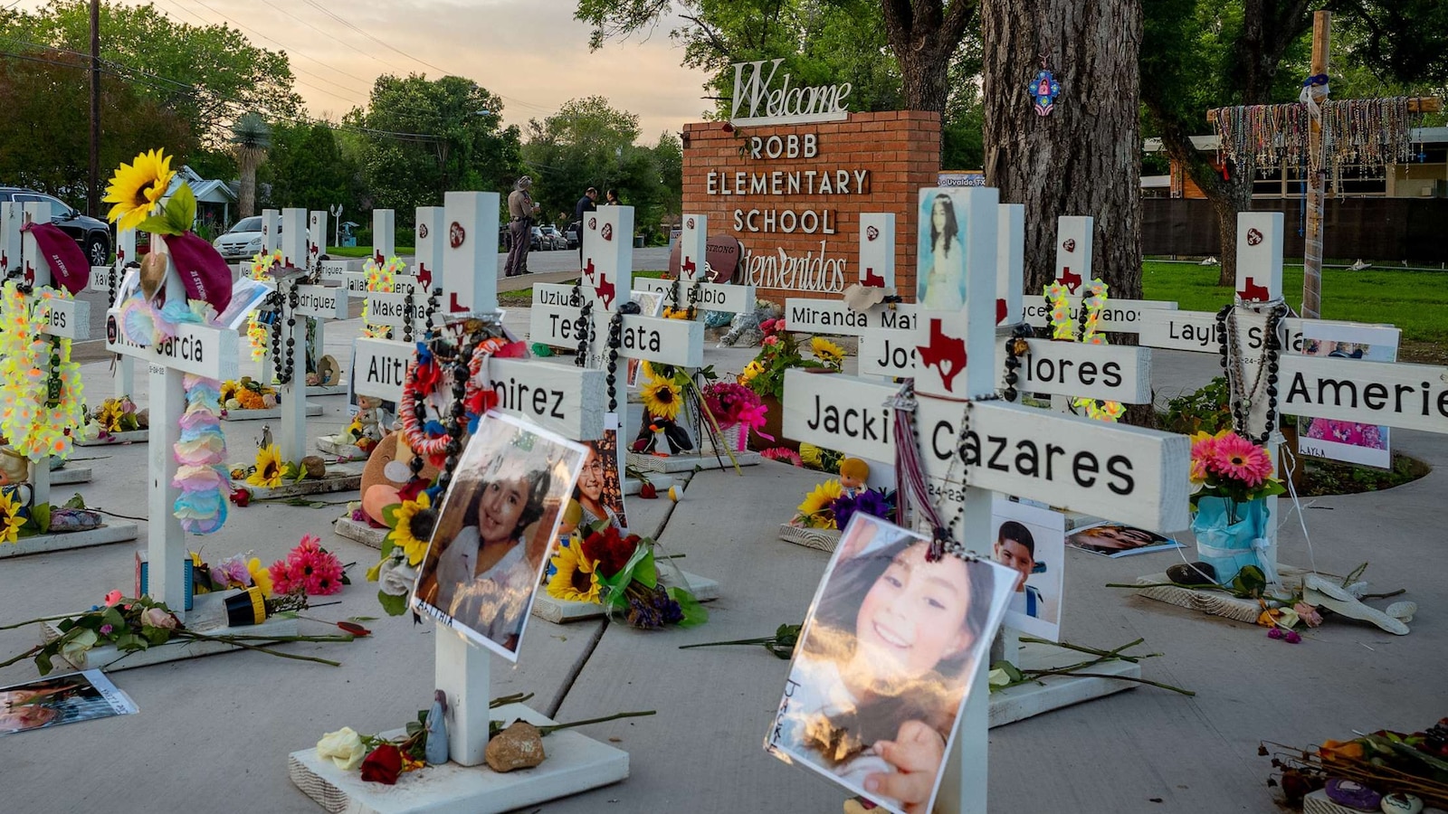 Medical probe into whether police inaction contributed to any deaths in