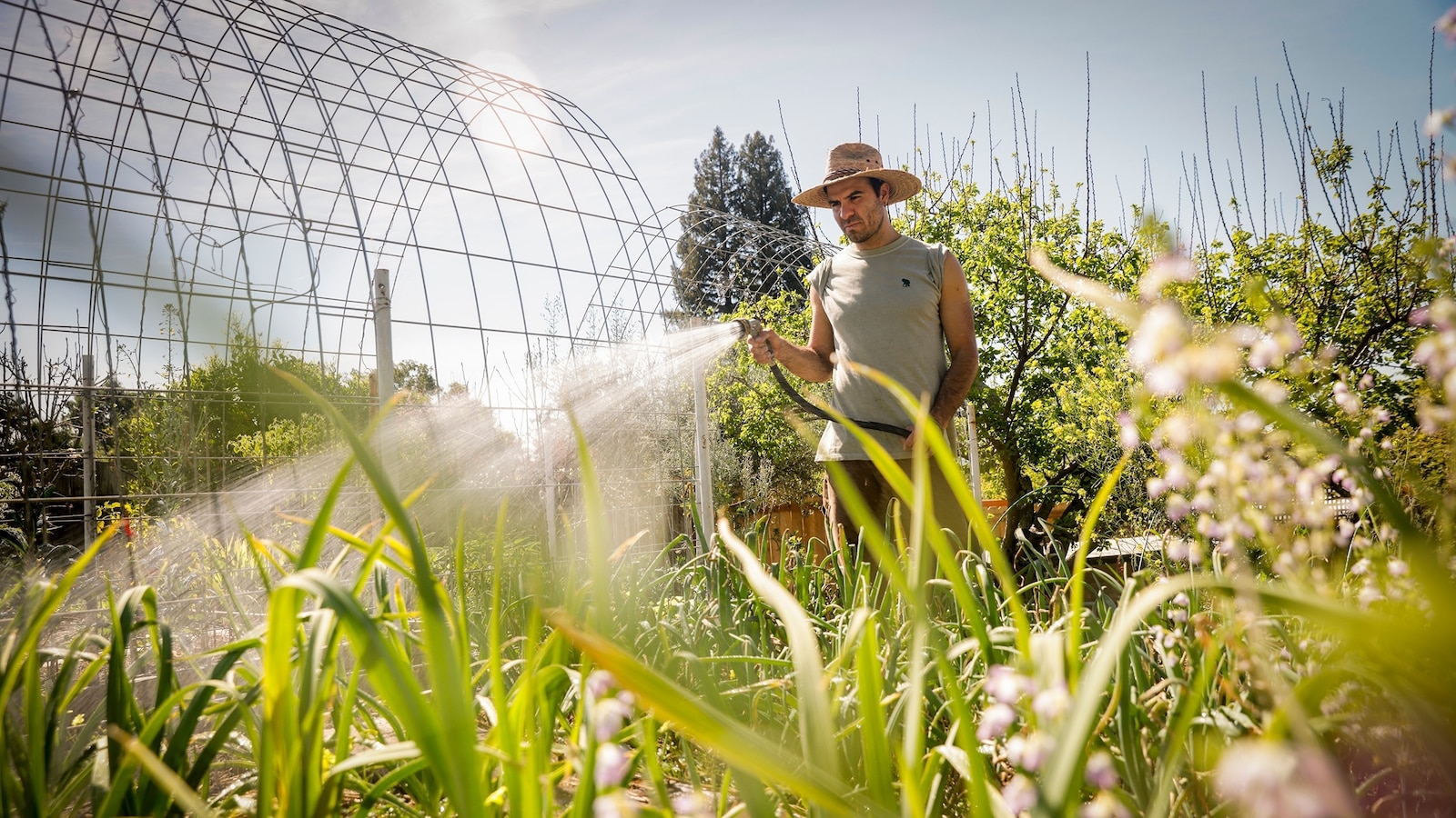 Earth Day 2026: What you can do in your community to promote conservation, climate action