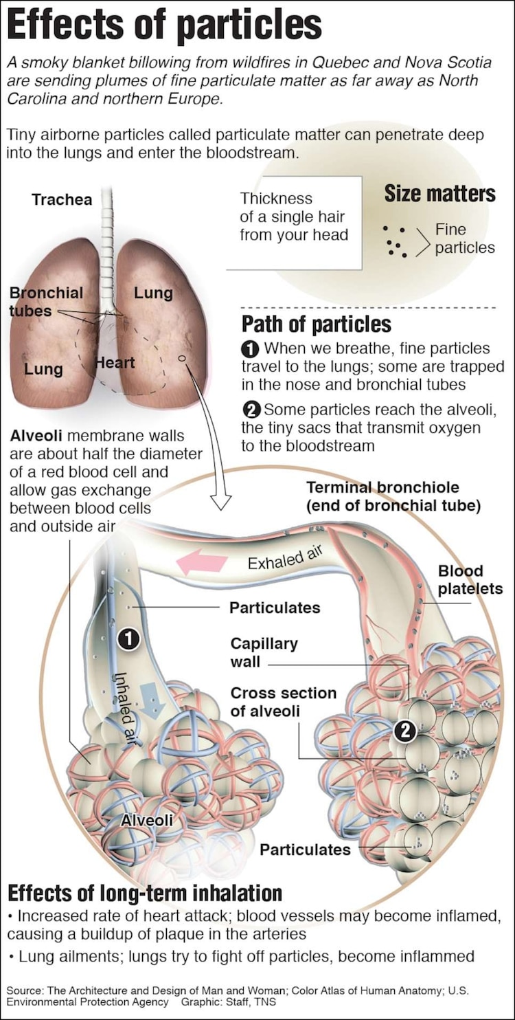particulate matter in cigarette smoke Burning or Vaporizing Anything Causes (PM 2.5) What to know about the