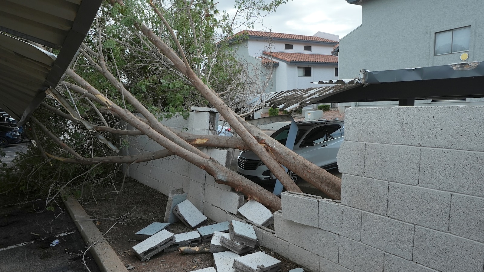 Violent Arizona storms bring possible tornado, toppled trees and golf ball-size hail