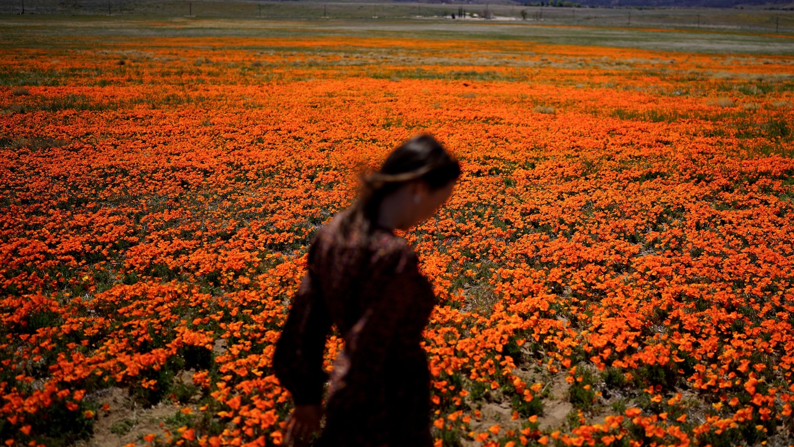 Welcome to allergy season. Here's how to protect yourself