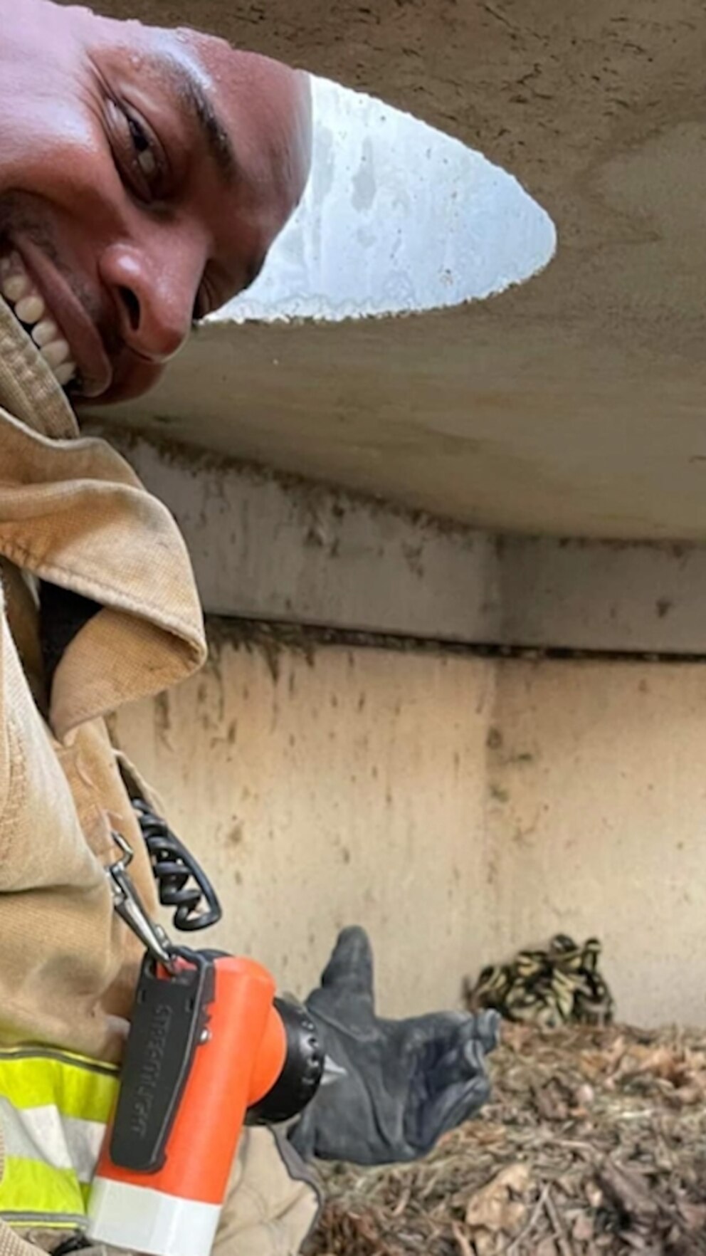 Video Firefighters rescue ducklings trapped in storm drain - ABC News