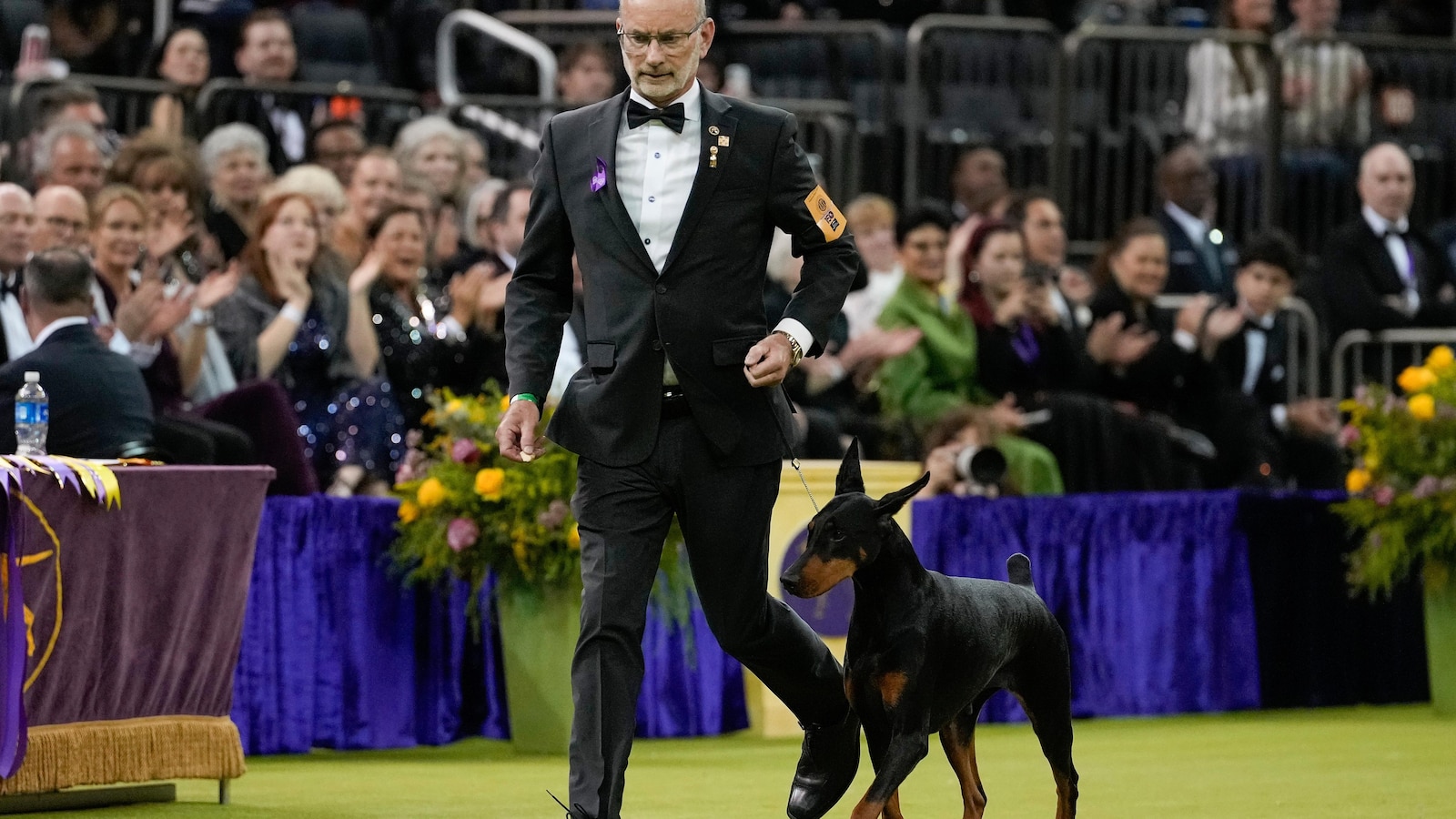 Un Doberman Pinscher llamado Penny gana el premio Best in Show en la 150ª Exposición Canina Anual del Westminster Kennel Club