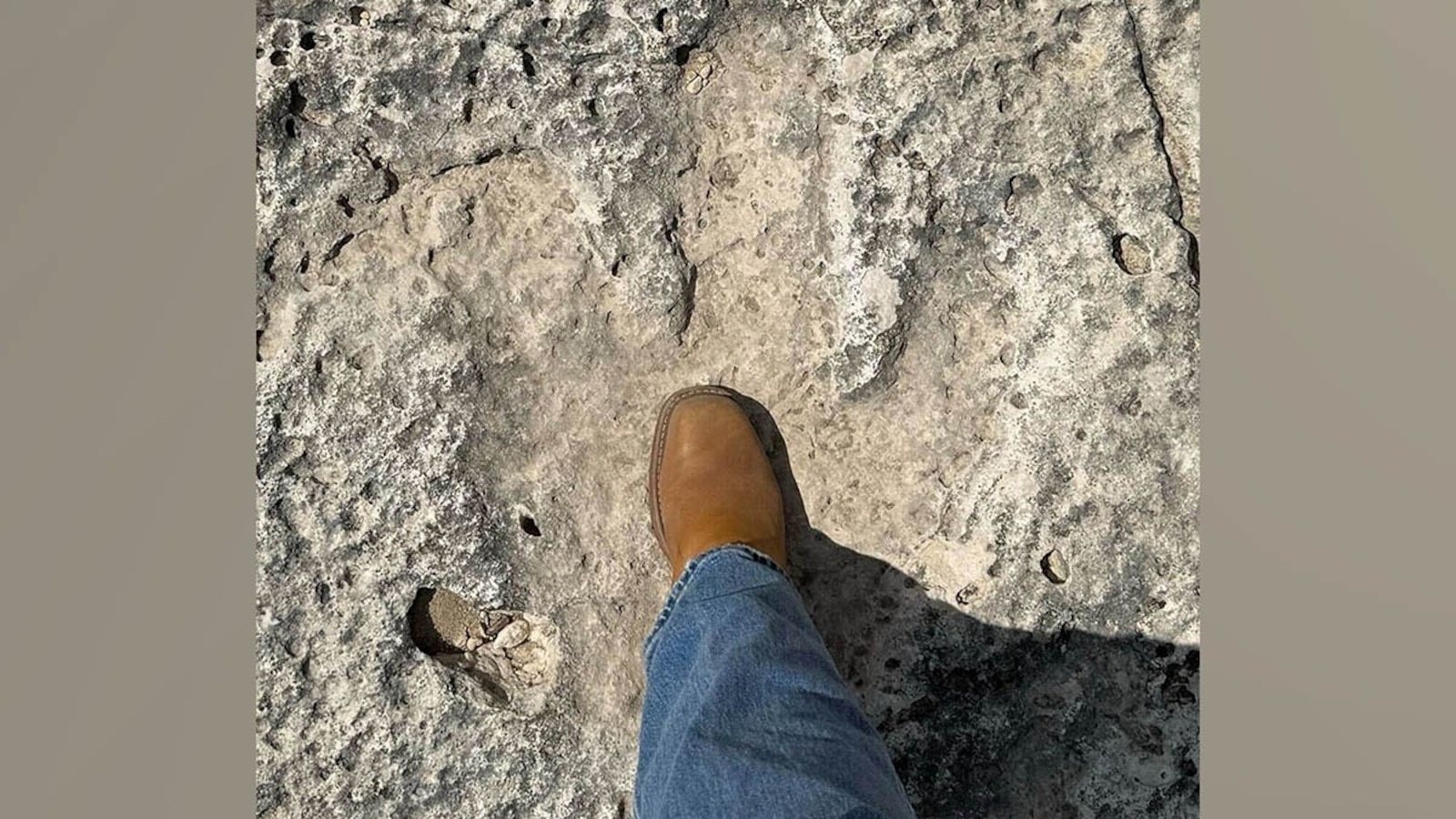 Dinosaur footprints from 115 million years ago found after Texas flood