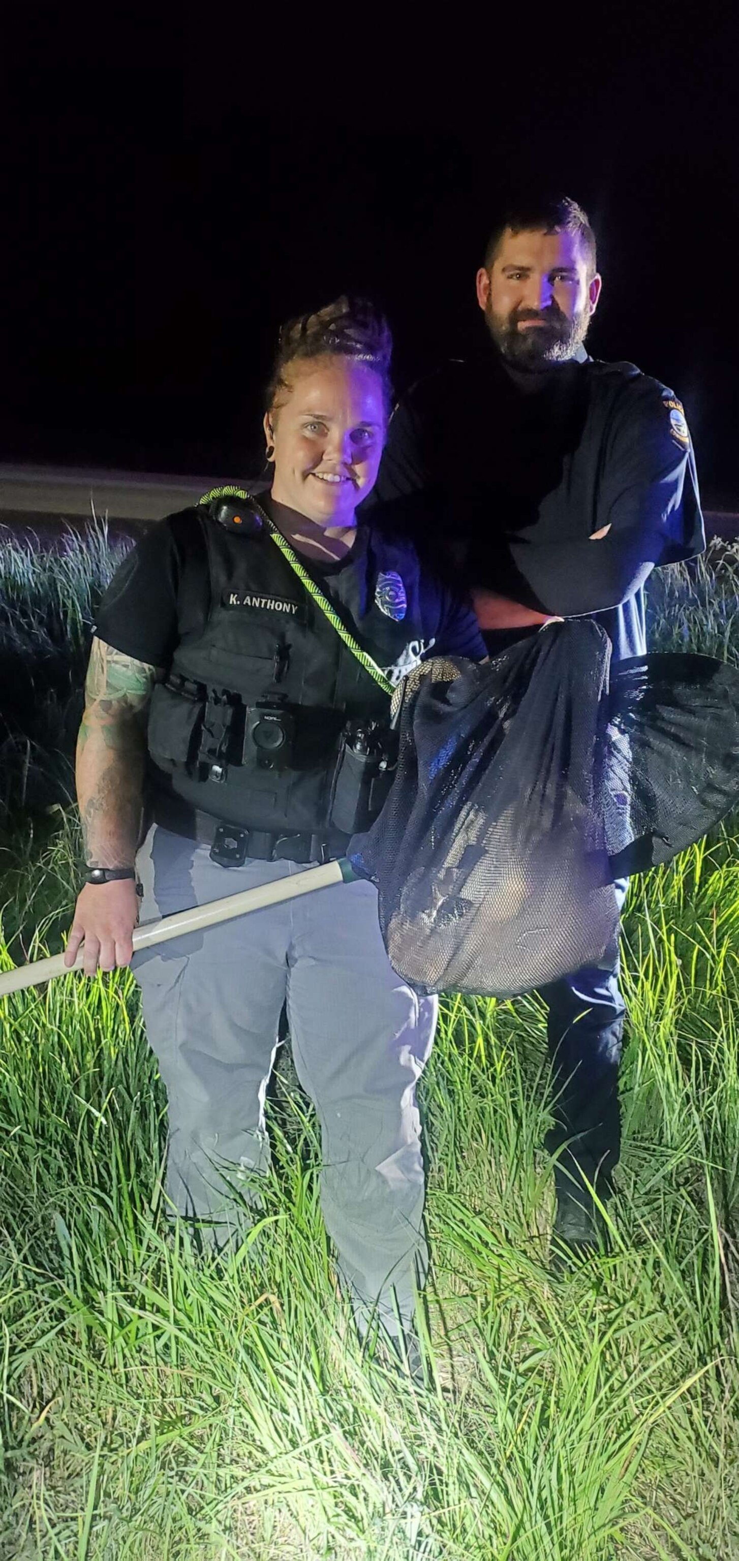 PHOTO: Police and animal control officers in Edwardsville, Kansas, worked together with the Bonner Springs Police Department on Wednesday, June 28, 2023, to rescue an injured kangaroo off the side of a major highway.