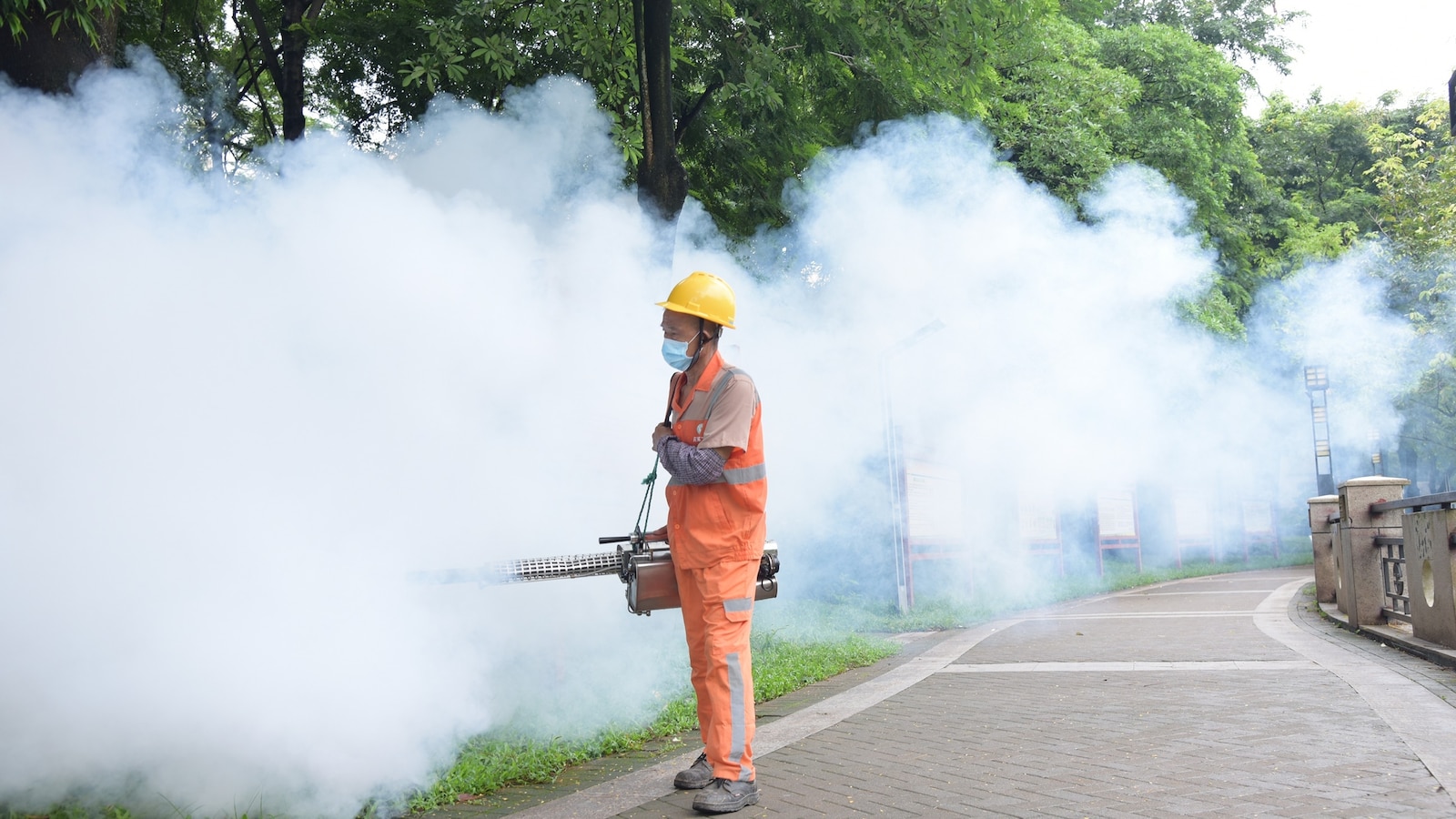 What to know about chikungunya virus amid new outbreak in China