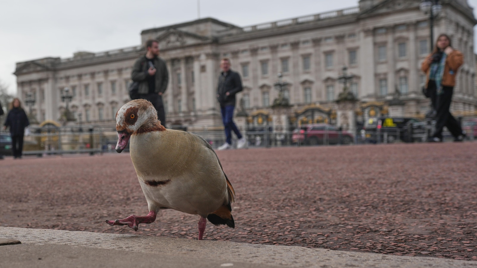 Британската монархия е изправена пред ново напрежение тъй като полицията