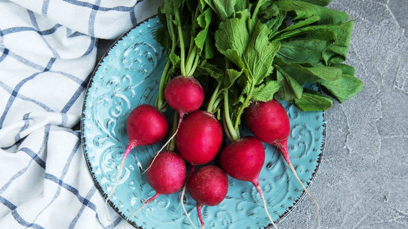 Everything Sprouts, the company linked to a salmonella and E. coli outbreak from alfalfa sprouts, has voluntarily expanded its recall to include radish sprout m