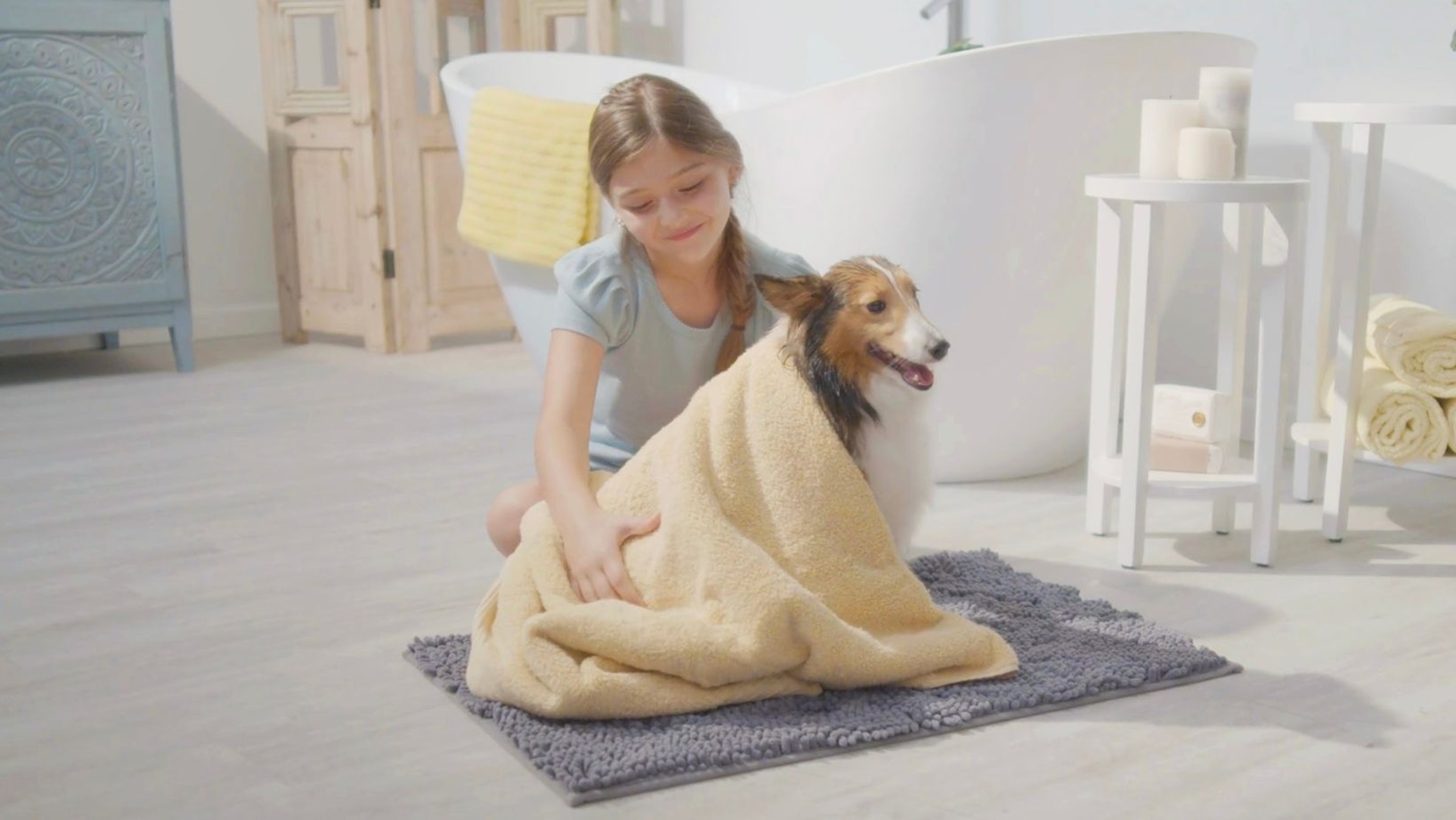 Muddy Mat: Pet Mat and Shammy