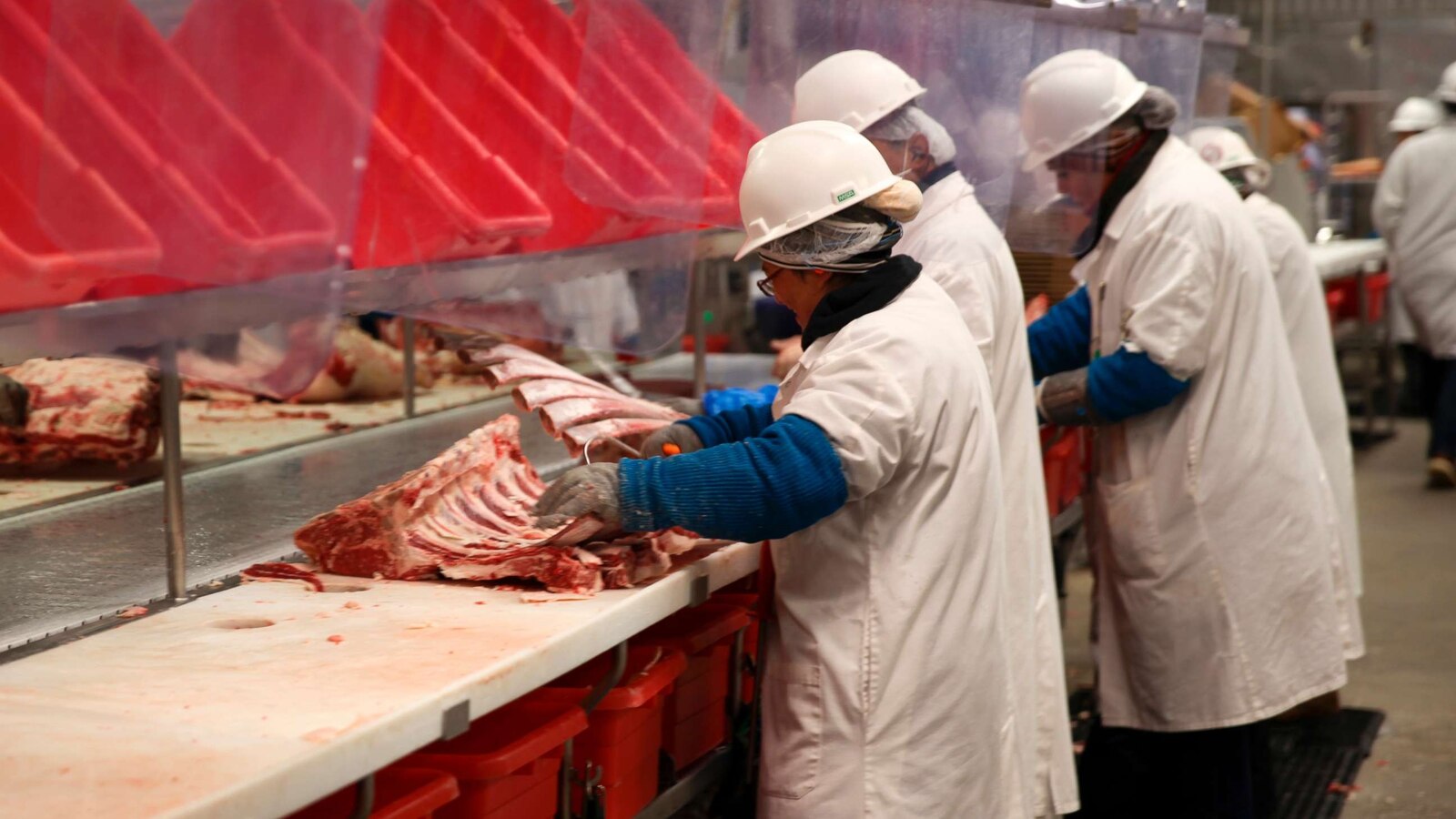Labor Department fines food sanitation contractor $1.5M for child labor ...