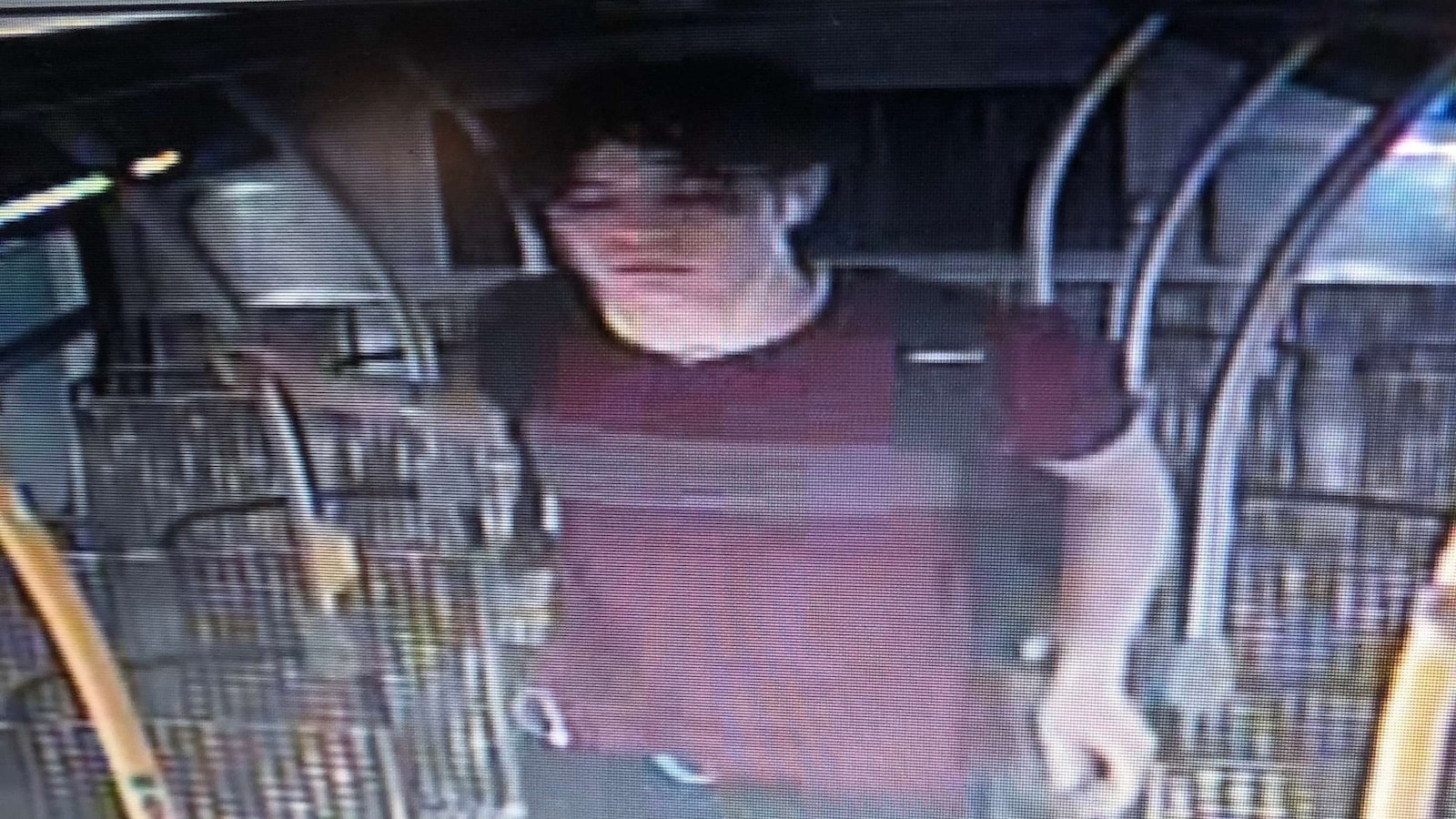17-year-old suspect arrested after Los Angeles bus driver stabbed in ...