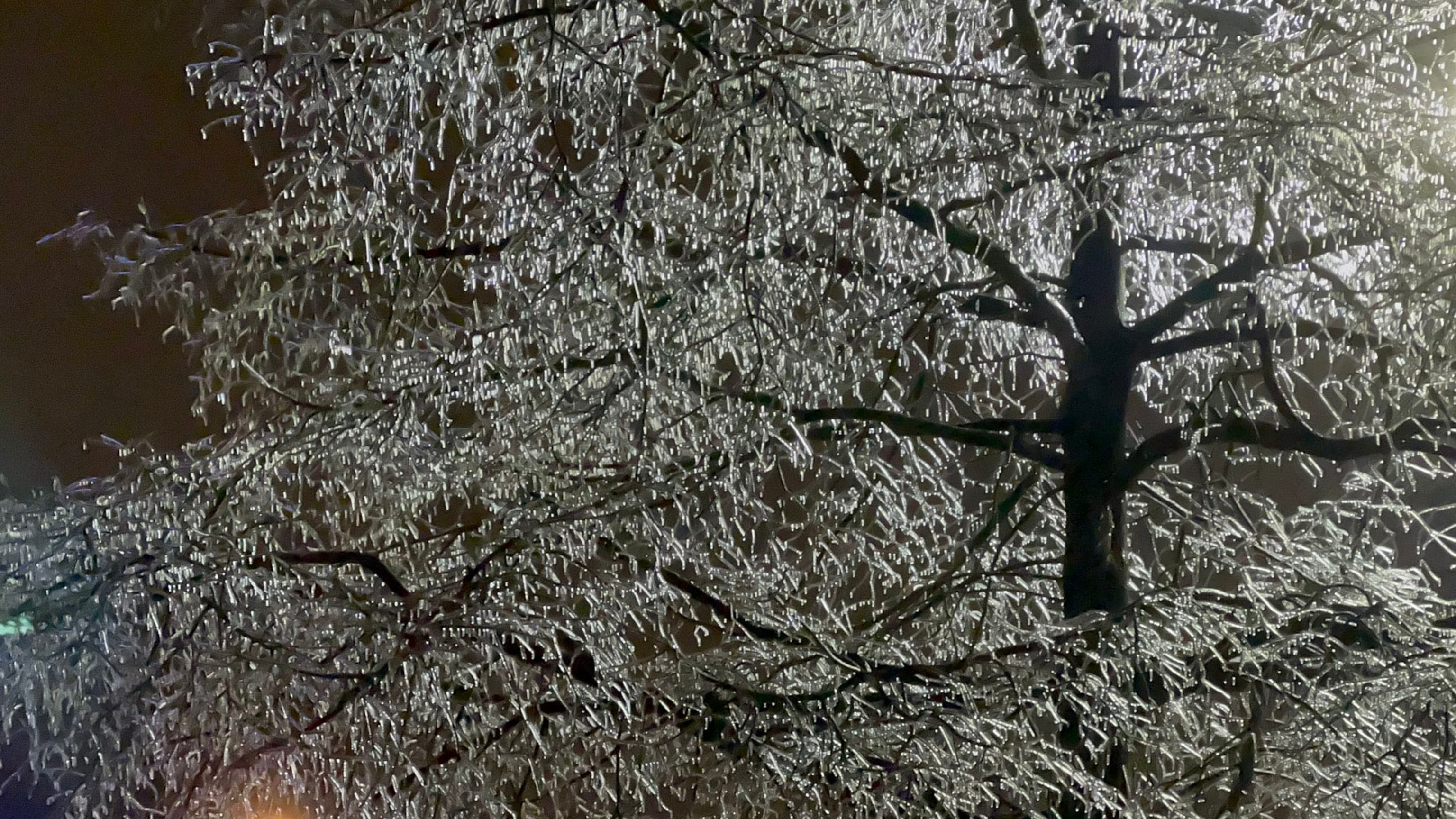 PHOTO: Freezing rain was spotted in Memphis, Jan. 31, 2023.