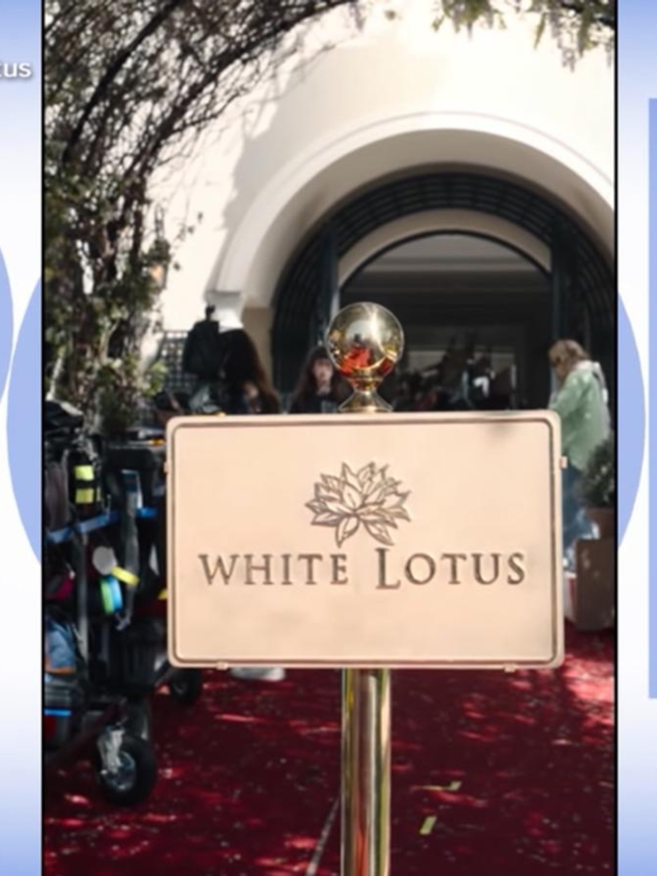 Video Laura Dern checks into the 'White Lotus' - ABC News
