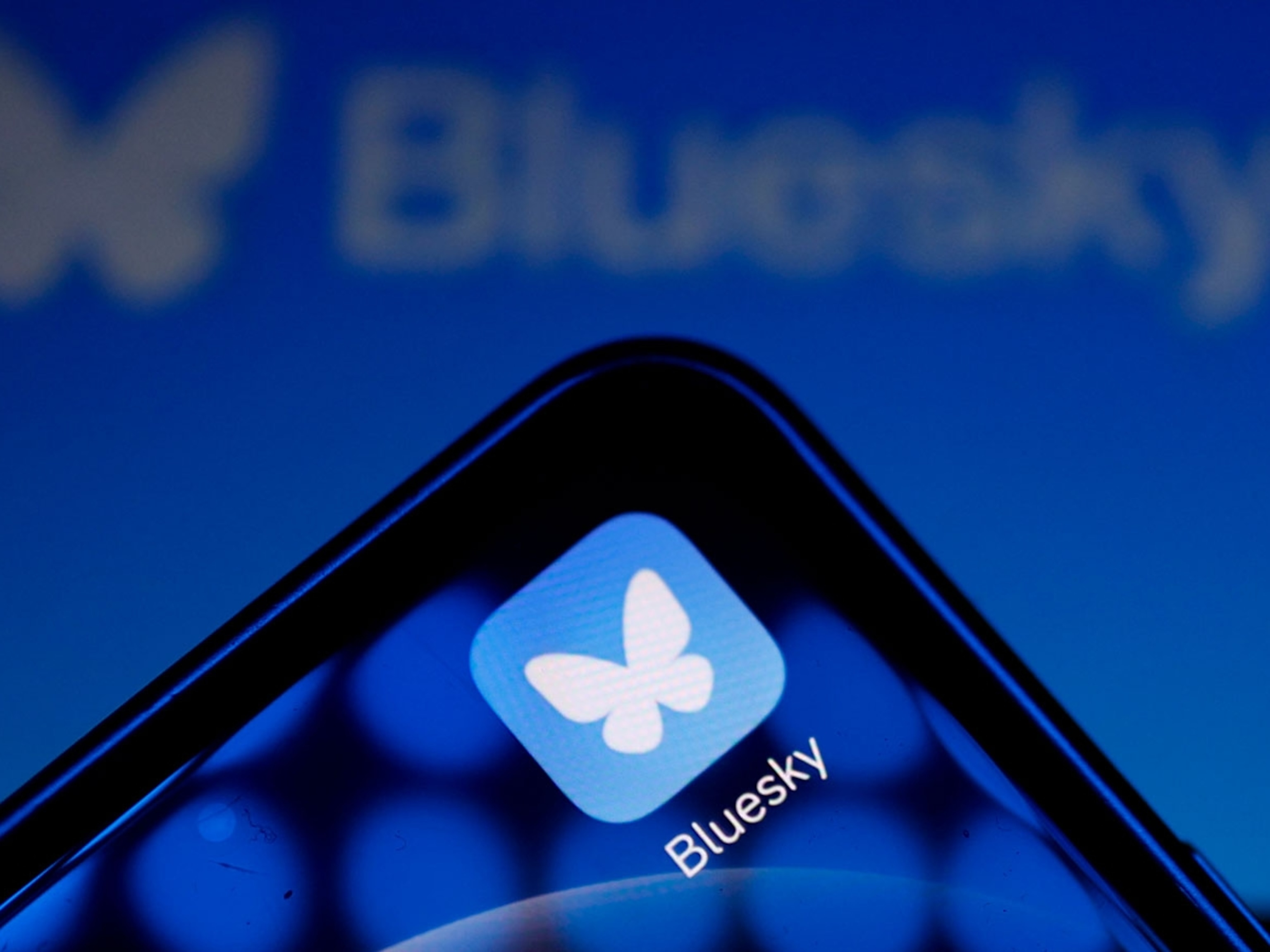 What is Bluesky? Social media platform tops 20 million users - ABC News