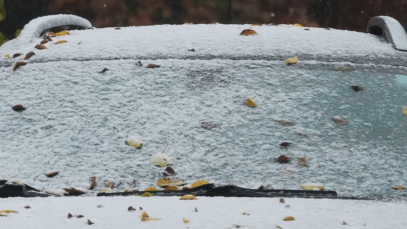 1st snow of the season moves in as South braces for freezing temperatures: Latest