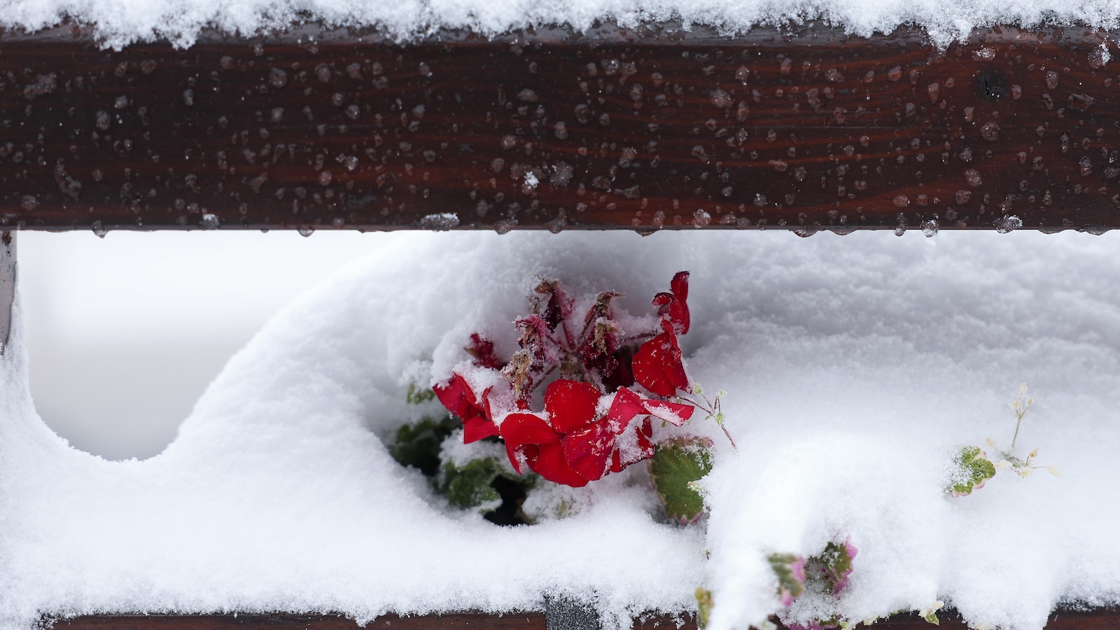 Early snowfall damages power lines and snarls traffic in Bosnia and Serbia