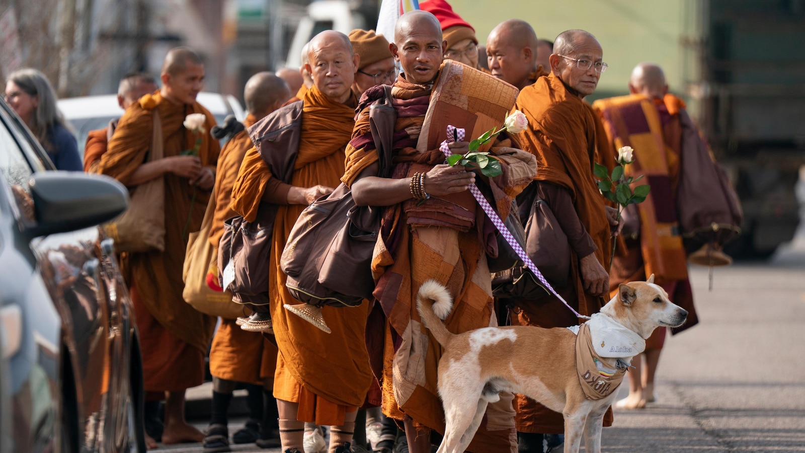  Buddhist monks and their dog captivate Americans while walking for peace