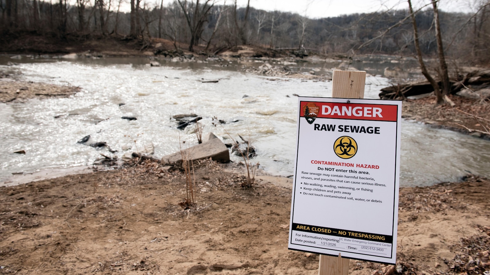 Potomac River hits 94 degrees, triggering fish kill near Little Falls