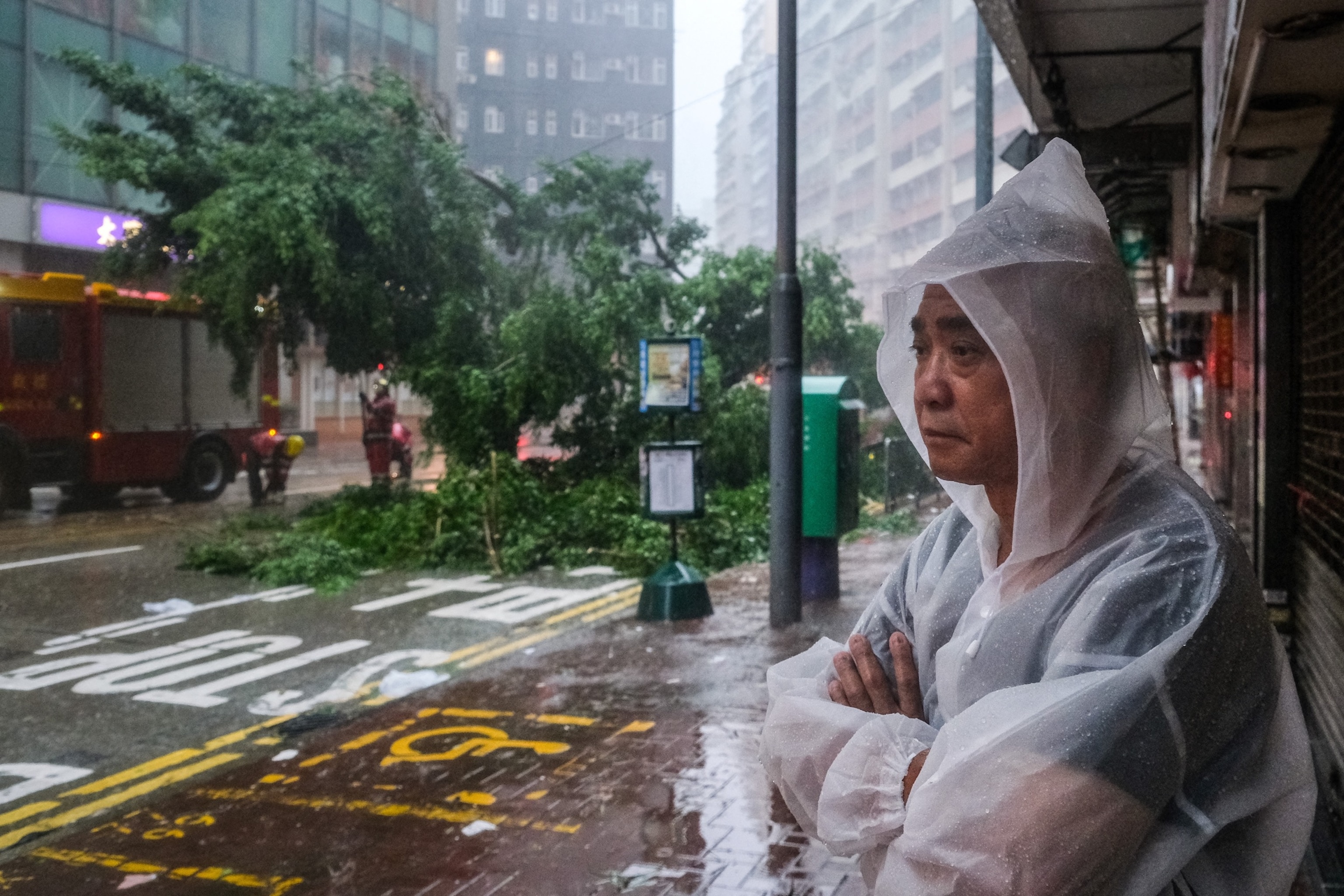 PHOTO: A man looks at firefighters preparing to remove an uprooted tree as Super Typhoon Ragasa hits Hong Kong on September 24, 2025.