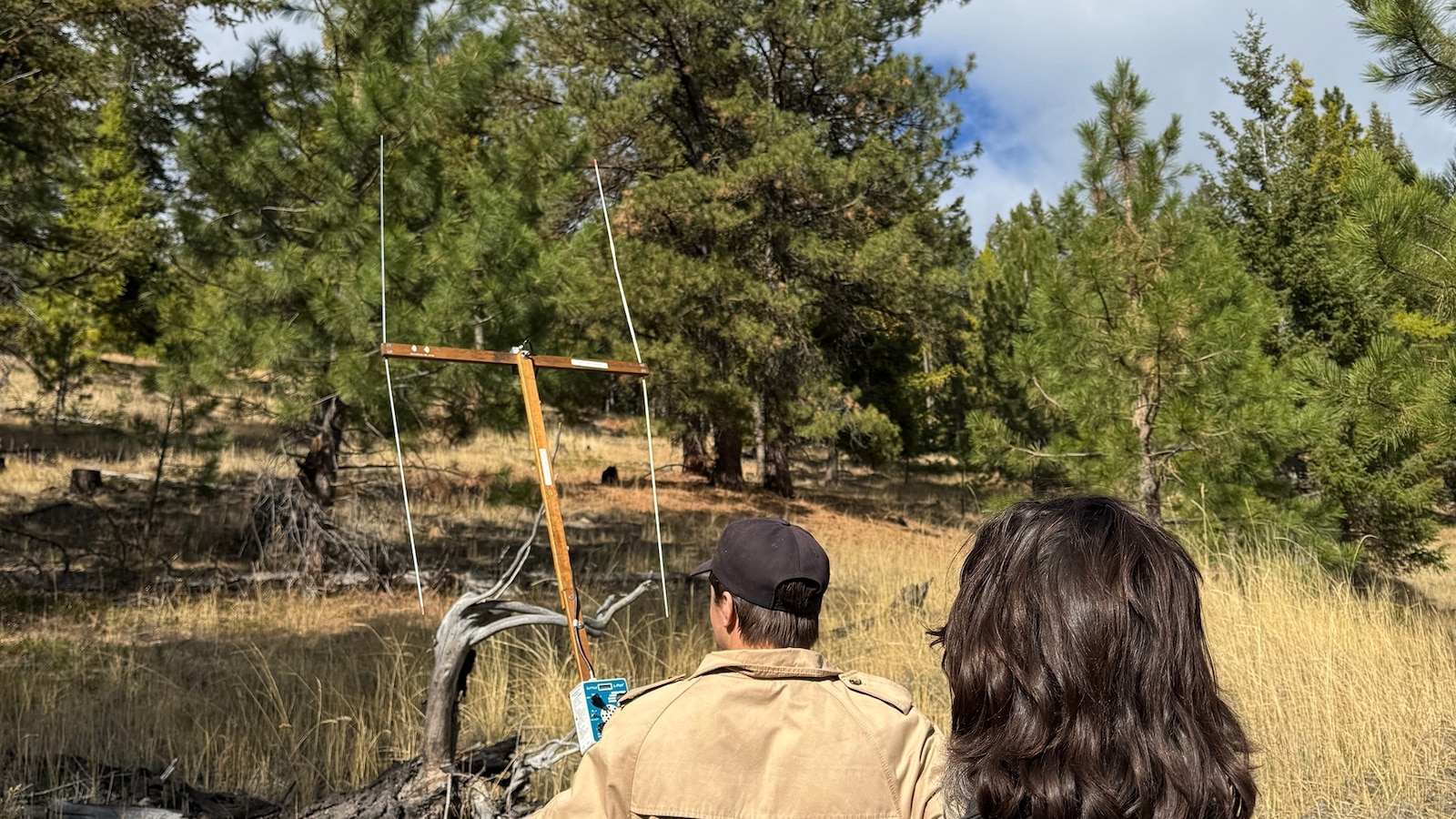 Found dead after Idaho-bound plane goes missing