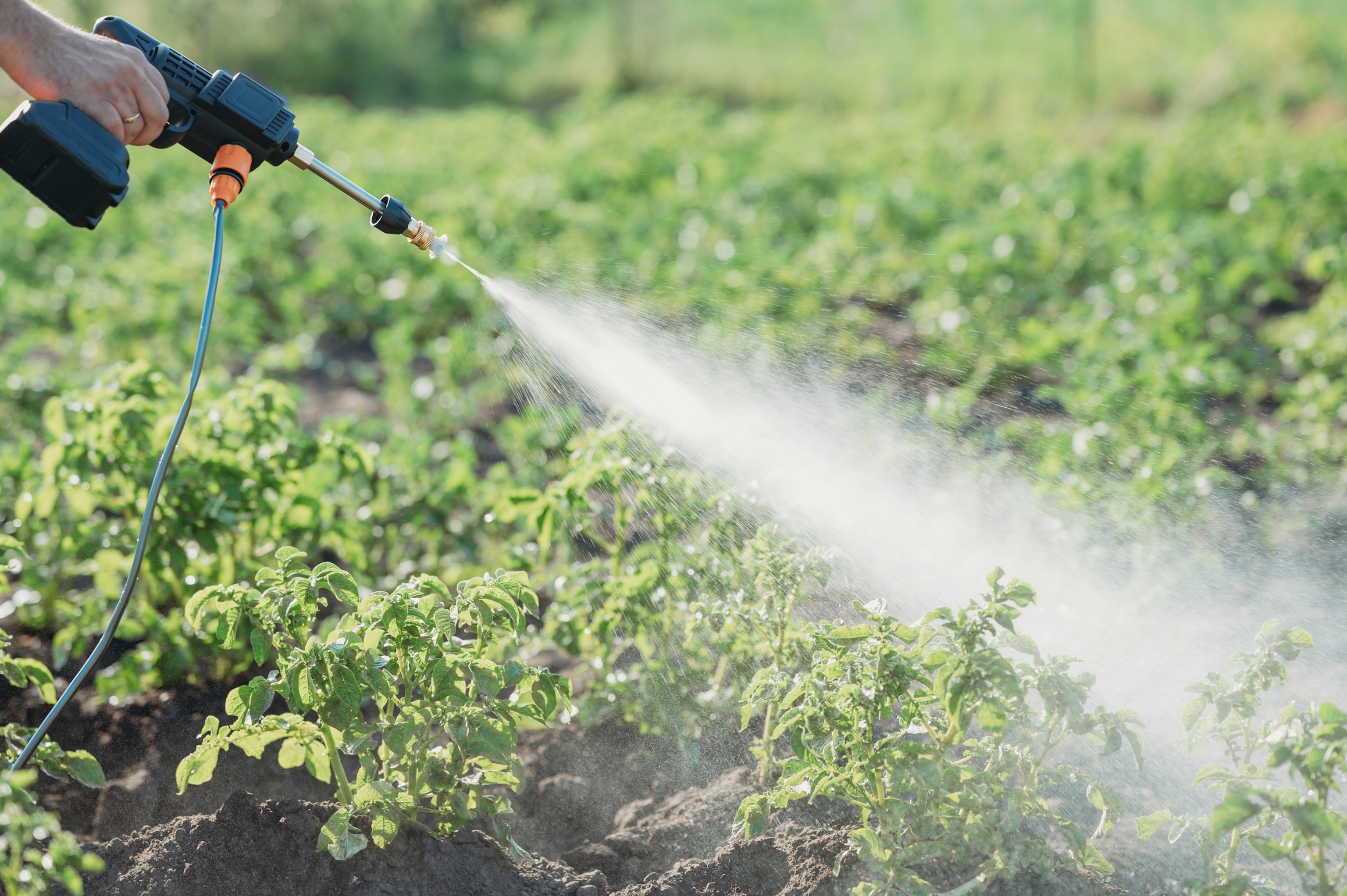 PHOTO: A person sprays chemicals on crops in a field in an undated stock photo. 