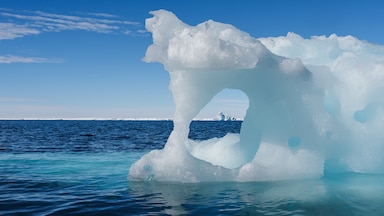 Antarctic iceberg the size of Chicago breaks off, reveals thriving undersea  ecosystem - ABC News
