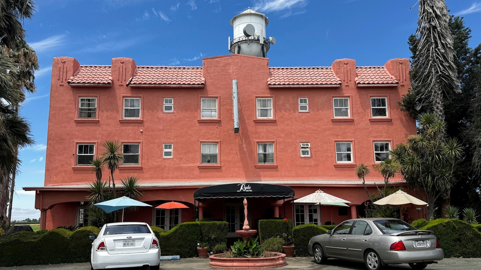 Dozens of peacocks and peahens go missing from Northern California hotel