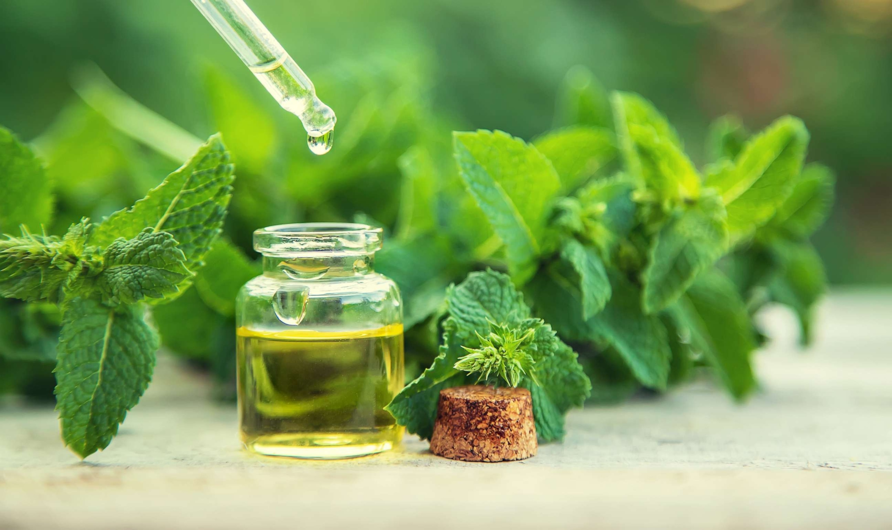 PHOTO: Peppermint essential oil in a small bottle.