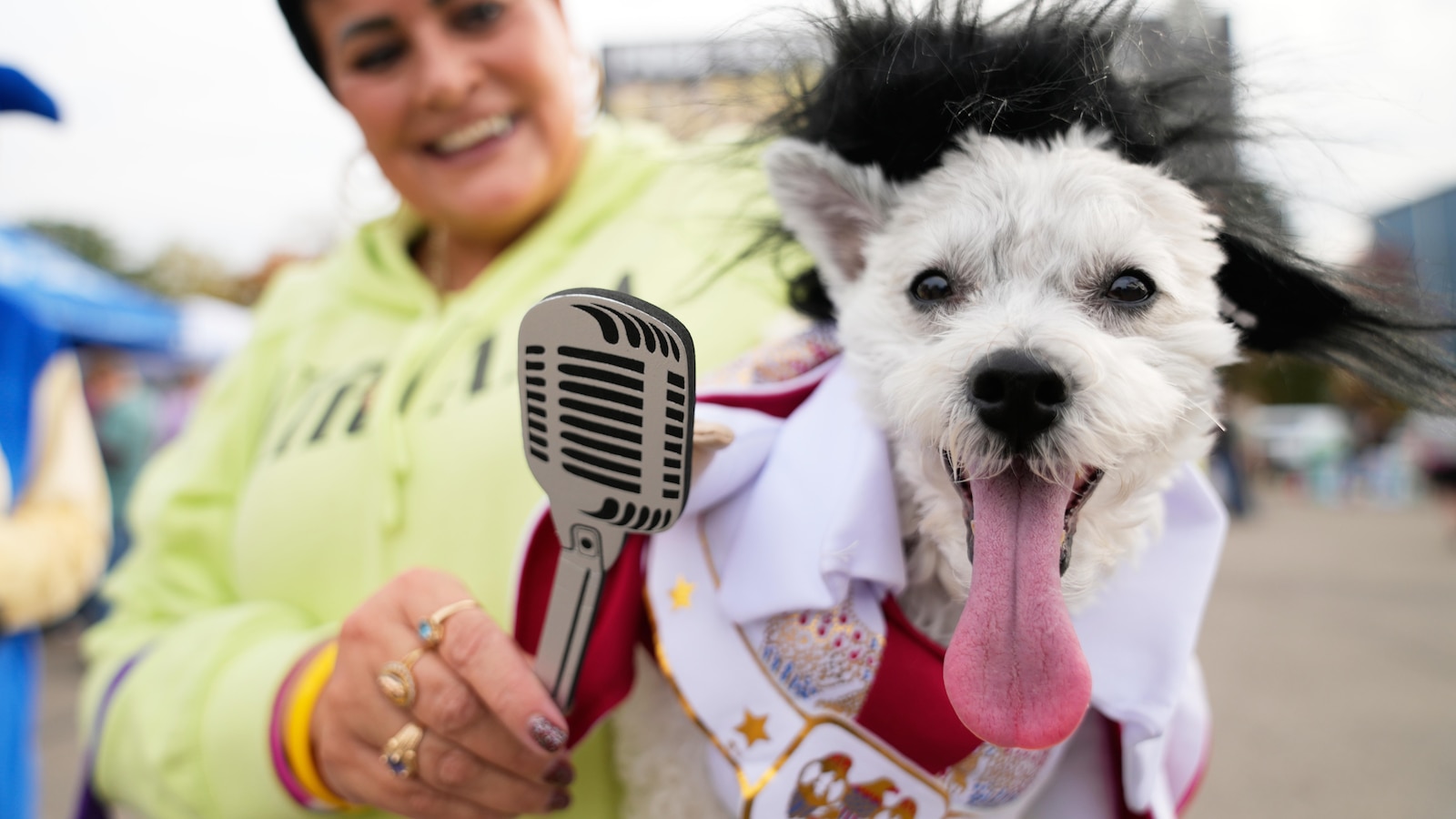  Costumed canines get their chance to trick-or-treating at Howloween event in Michigan