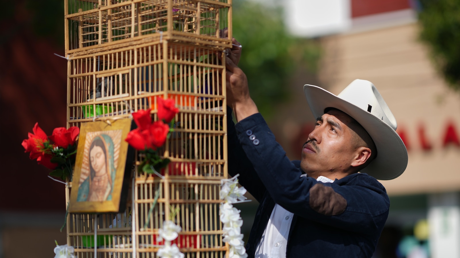 Deze mannen dragen torens vol vogels door de straten van Mexico