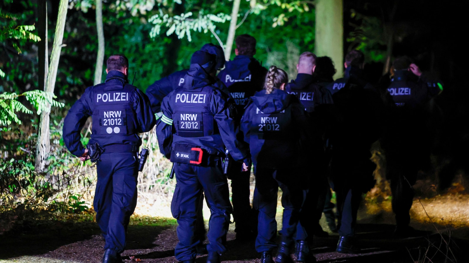 Police arrest suspect in Germany power grid attacks after dayslong search