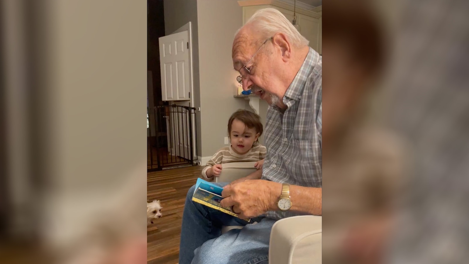 Great-grandfather goes viral for reading 'Baby Shark' to great