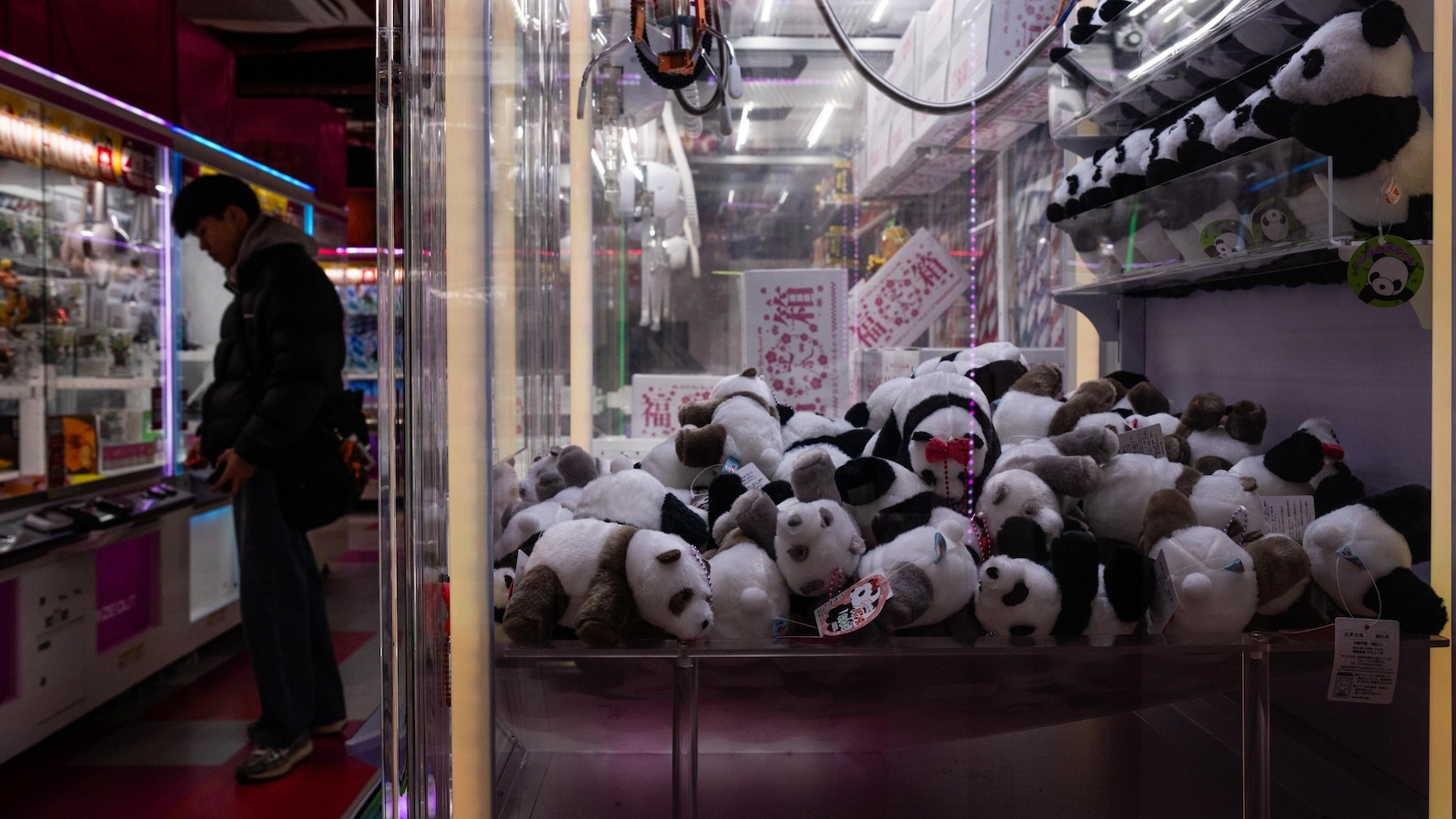 Феновете на японските панди са виждали любимите си панди да