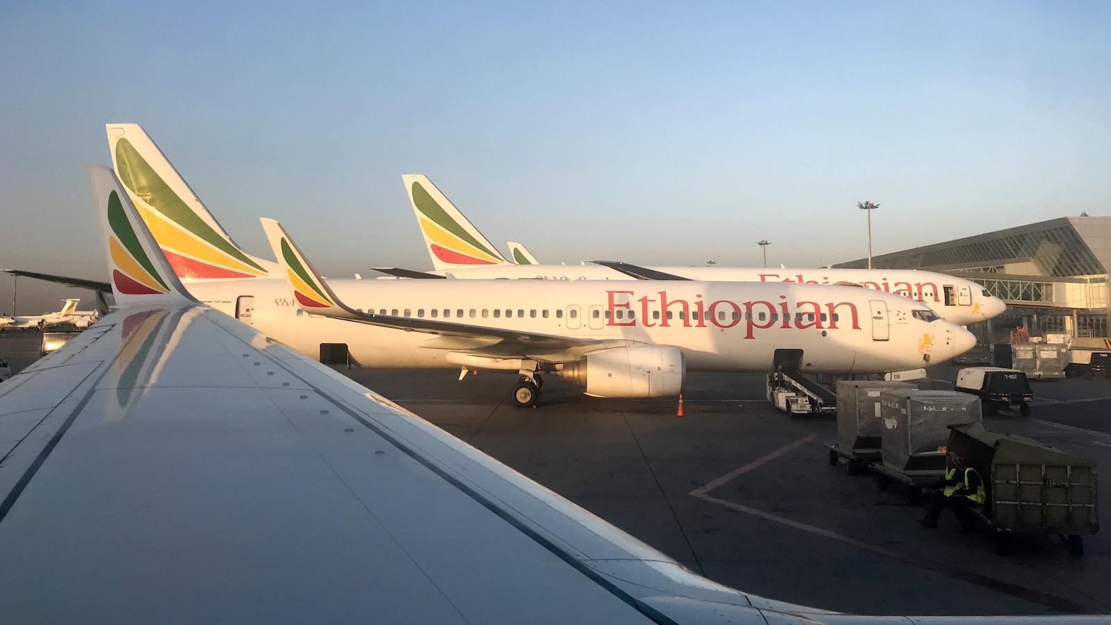 Ethiopia's national carrier cancels flights to Tigray region as fears grow of renewed fighting