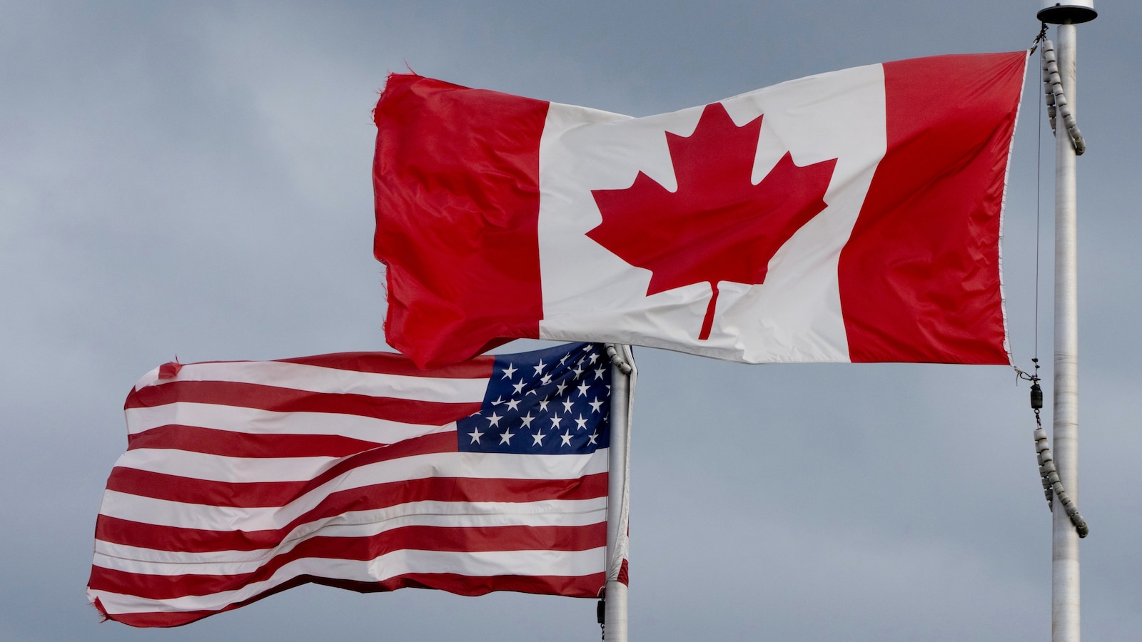 NJ food importer files lawsuit challenging Trump's 50% tariffs on Canadian goods
