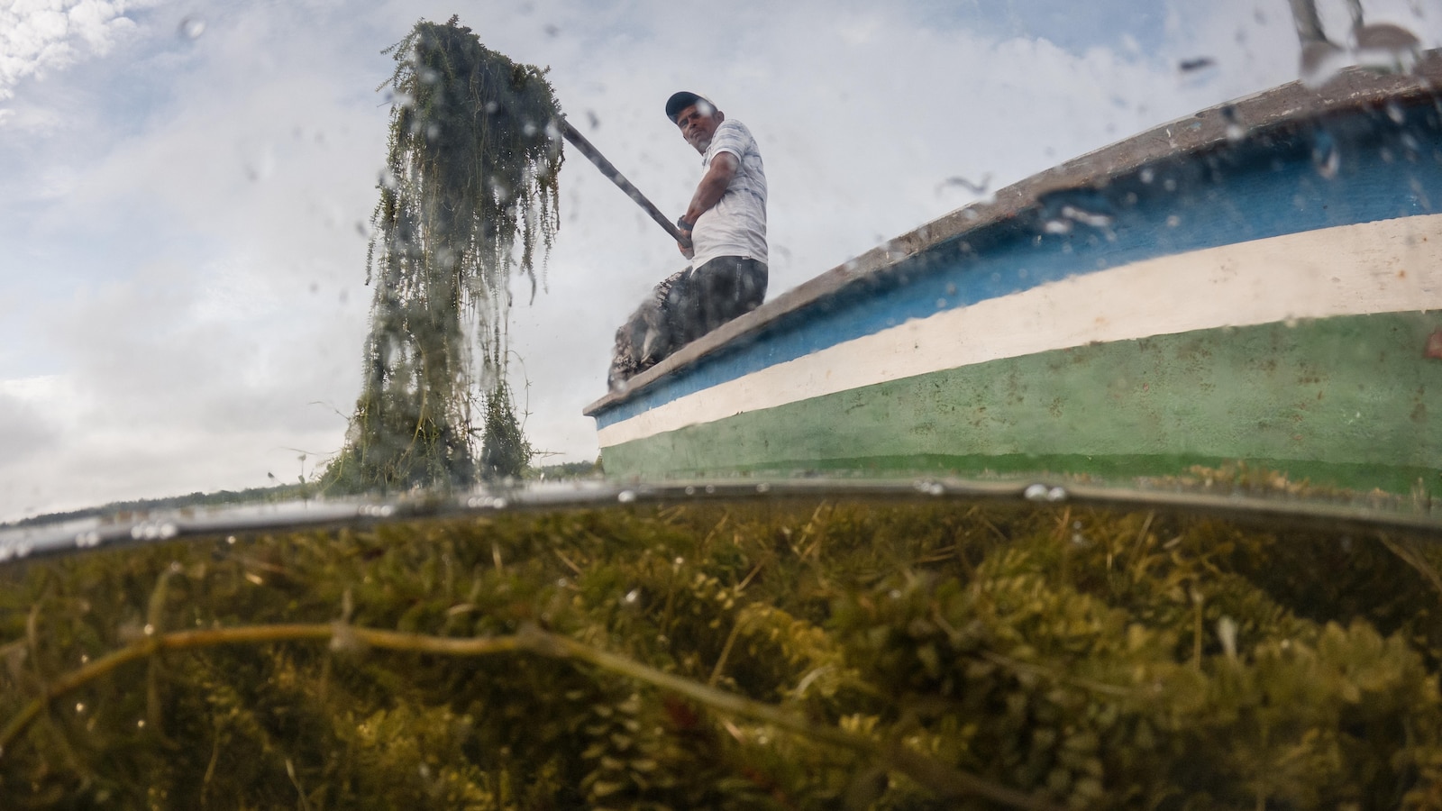 Invasive plant threatens livelihoods in Colombia’s largest coastal wetland