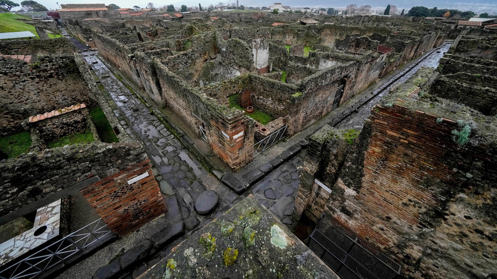 Archaeologists at Pompeii use artificial intelligence to reveal face of one victim
